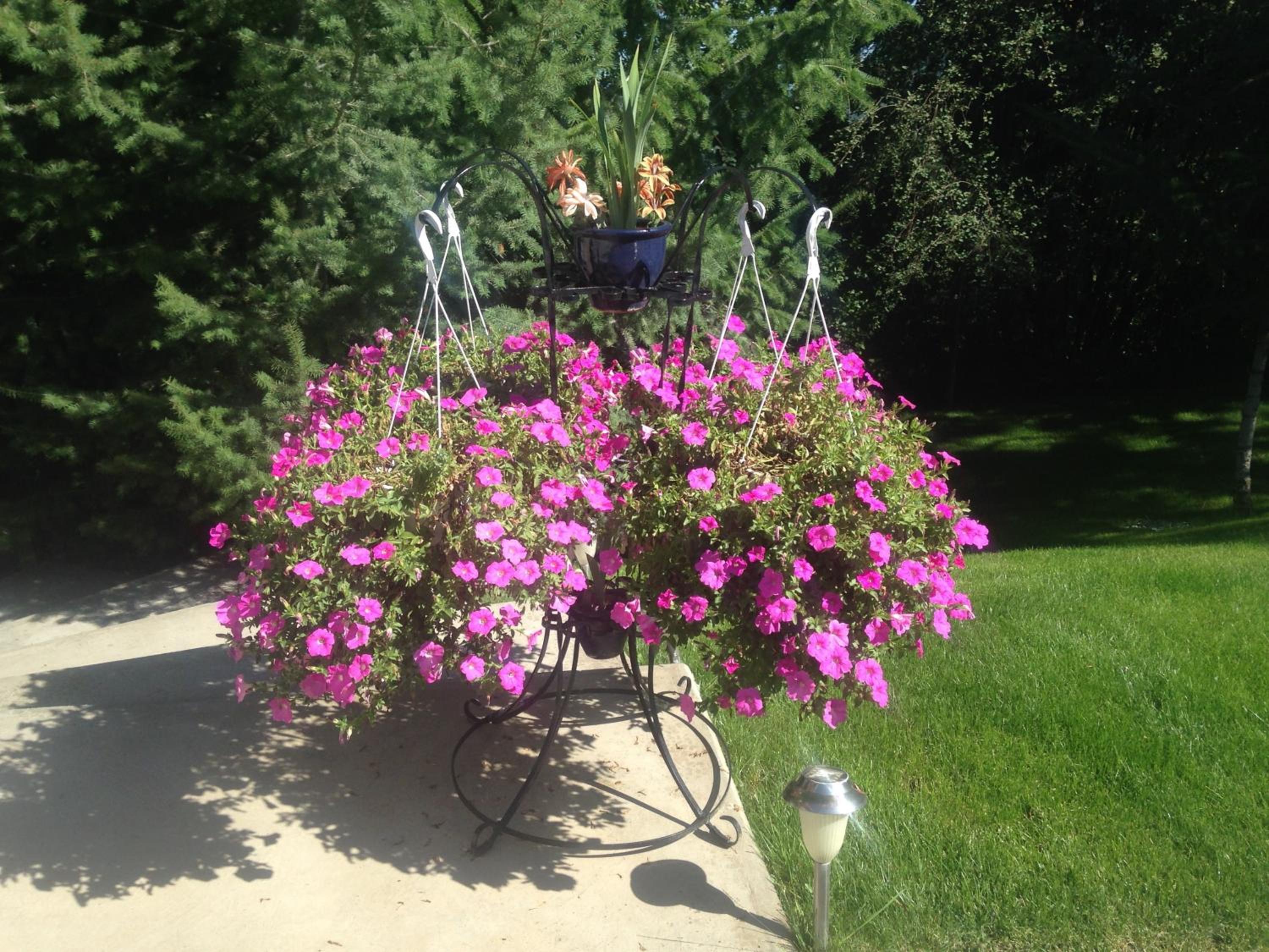 Eagle's Nest B&B