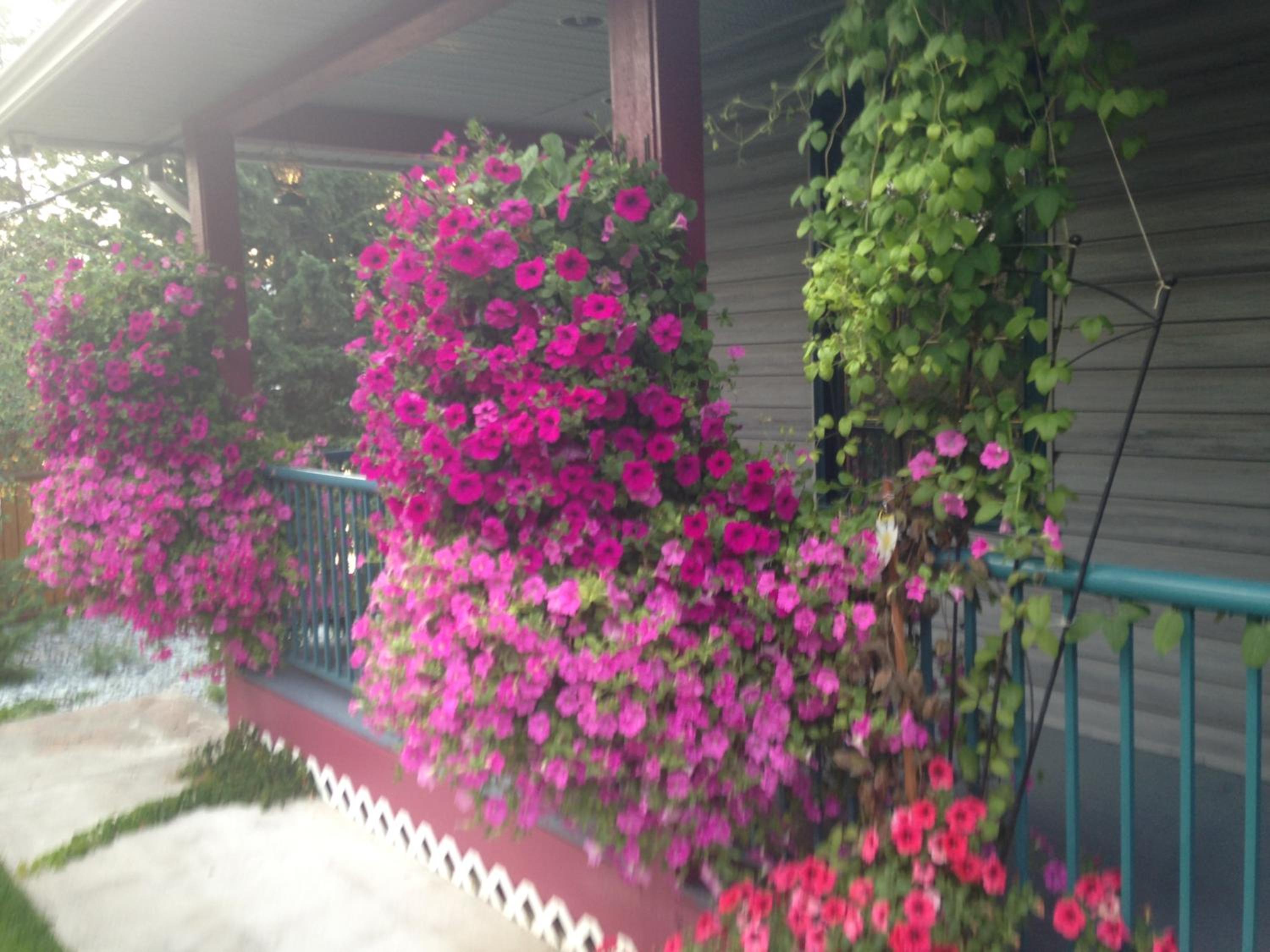 Eagle's Nest B&B