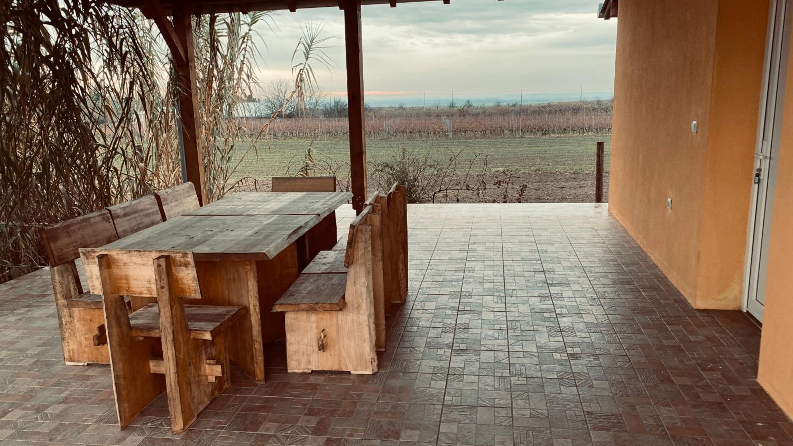 KUĆA ZA ODMOR BRZICA ERDUT view 5