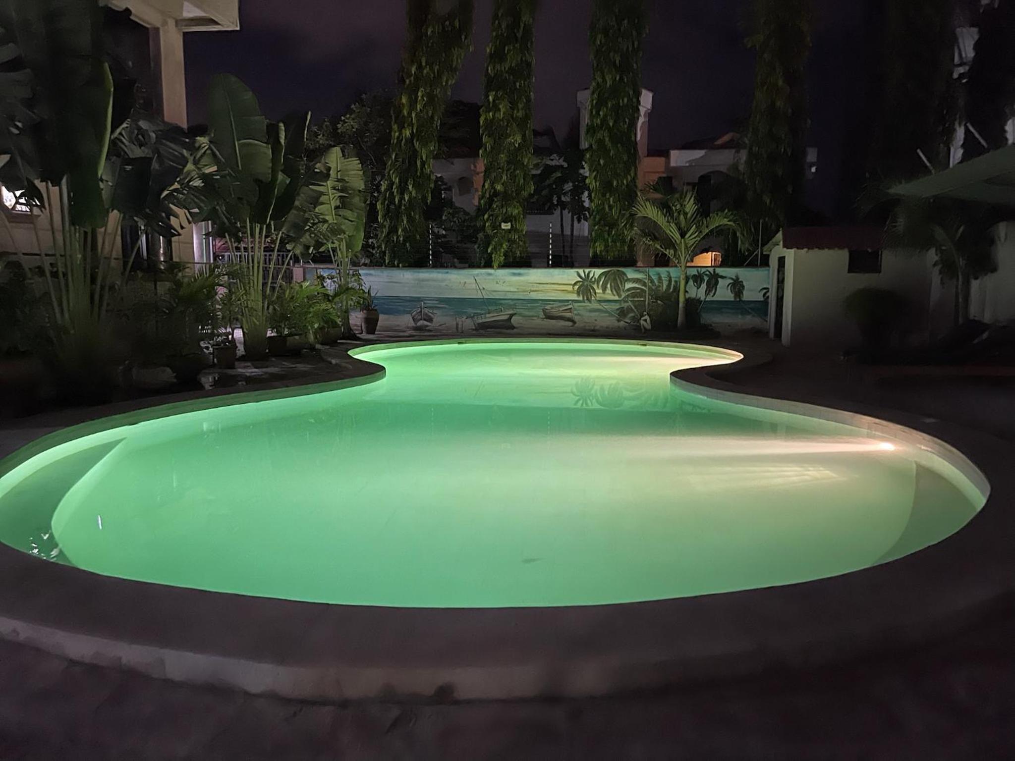 Mudzini gardens - Luxury villa with a pool view 4
