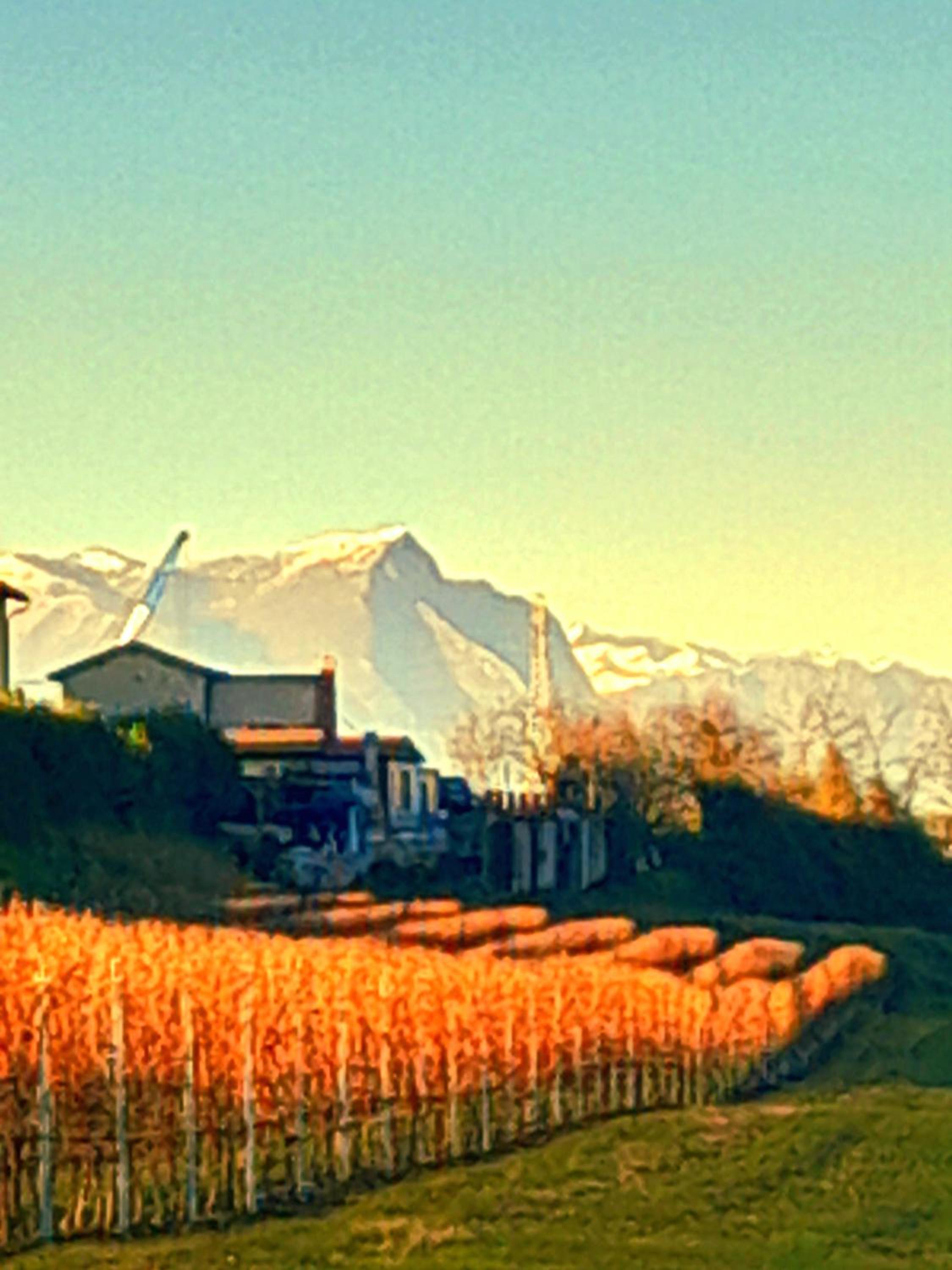 ZANINA COUNTRY HOUSE