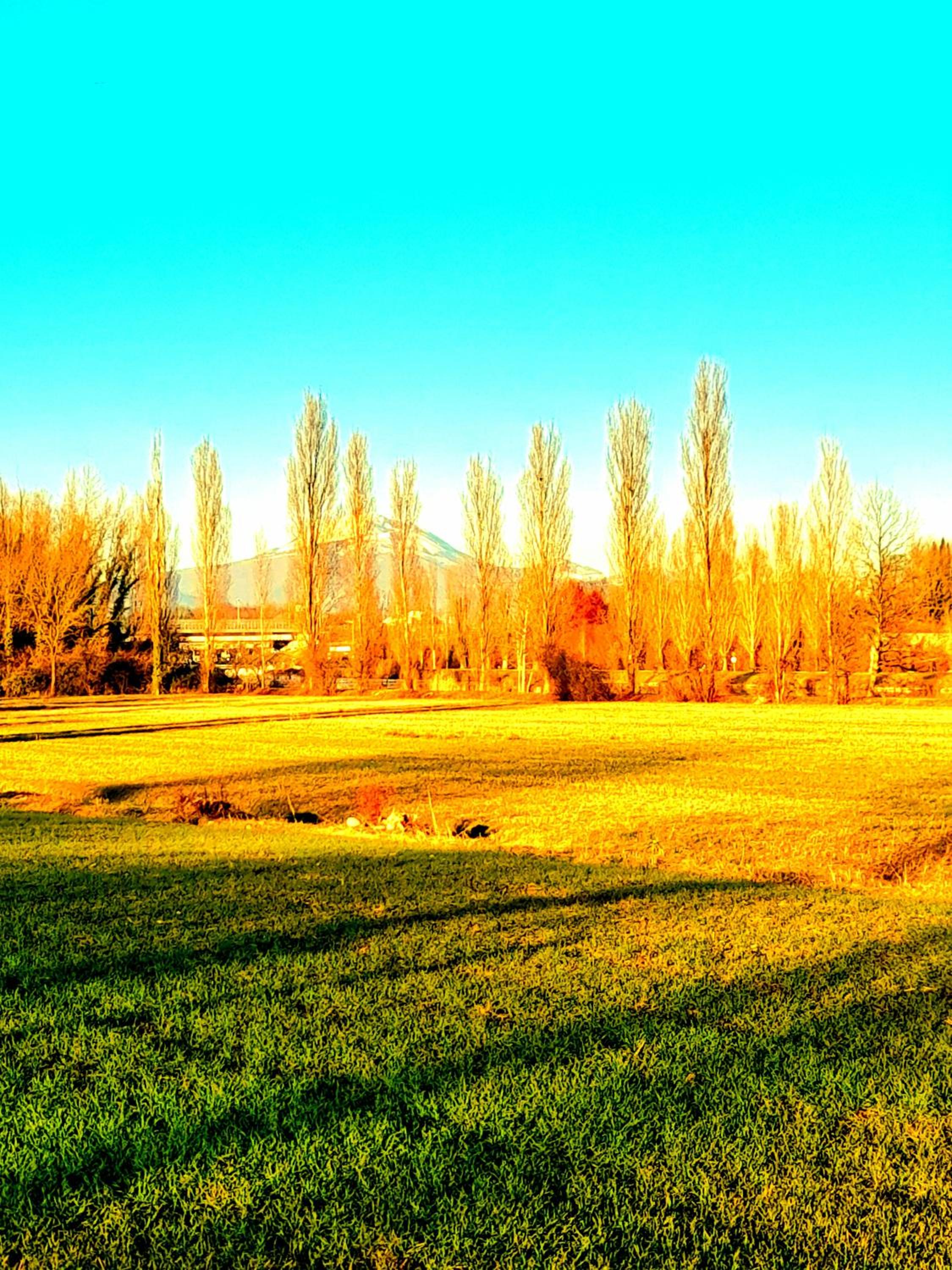 ZANINA COUNTRY HOUSE