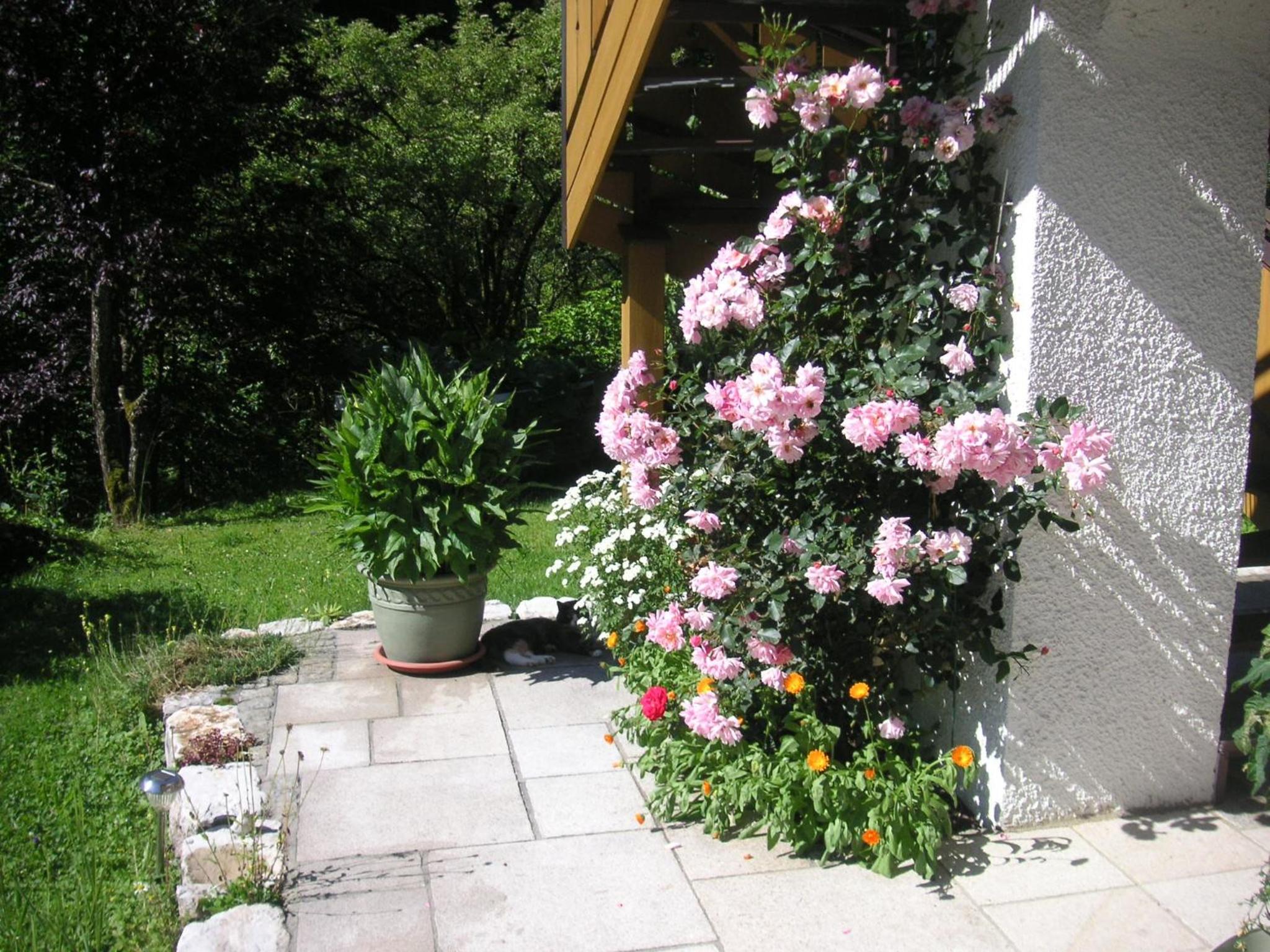 Gerlindes Haus - inkl. Chiemgau-Karte view 5