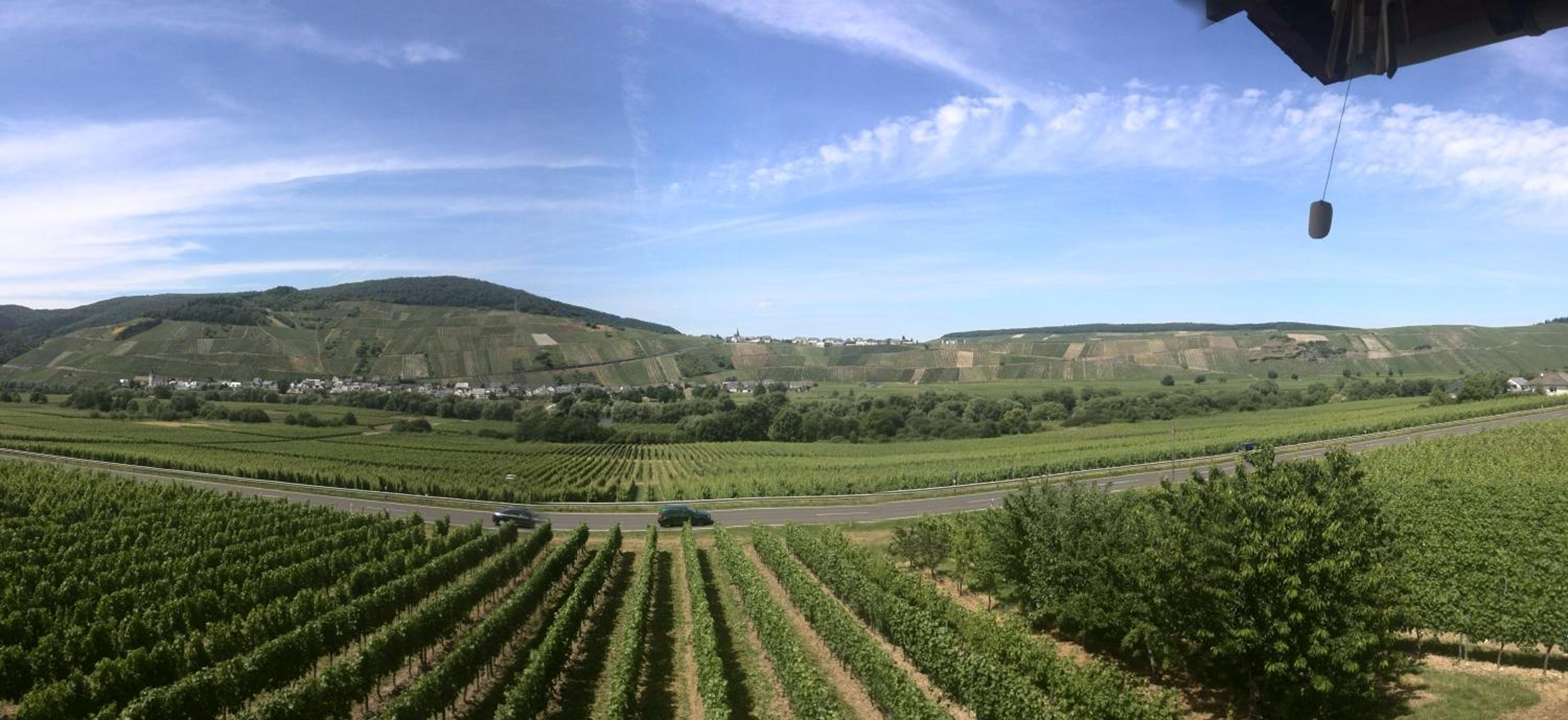 Weingut & Gästehaus Andreas Erz view 5