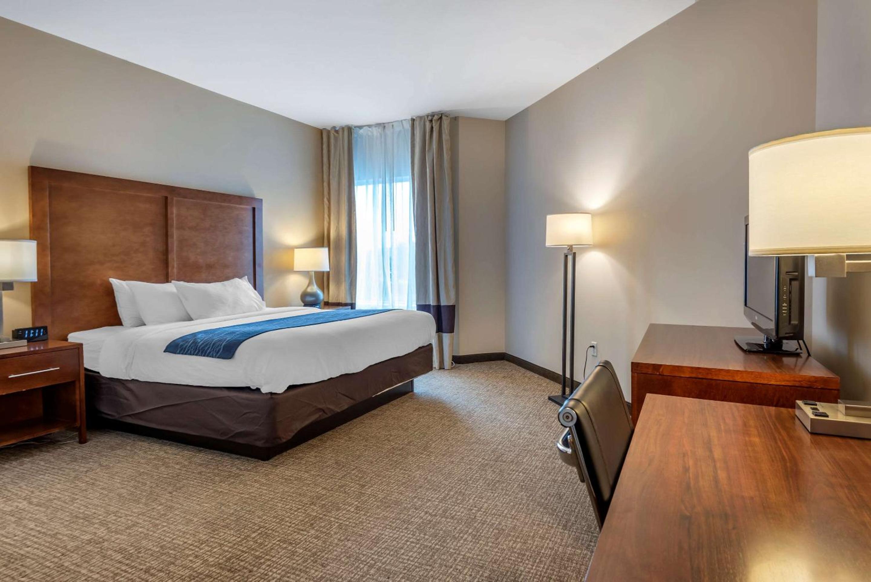 Comfort Inn Apalachin - Binghamton W Route 17