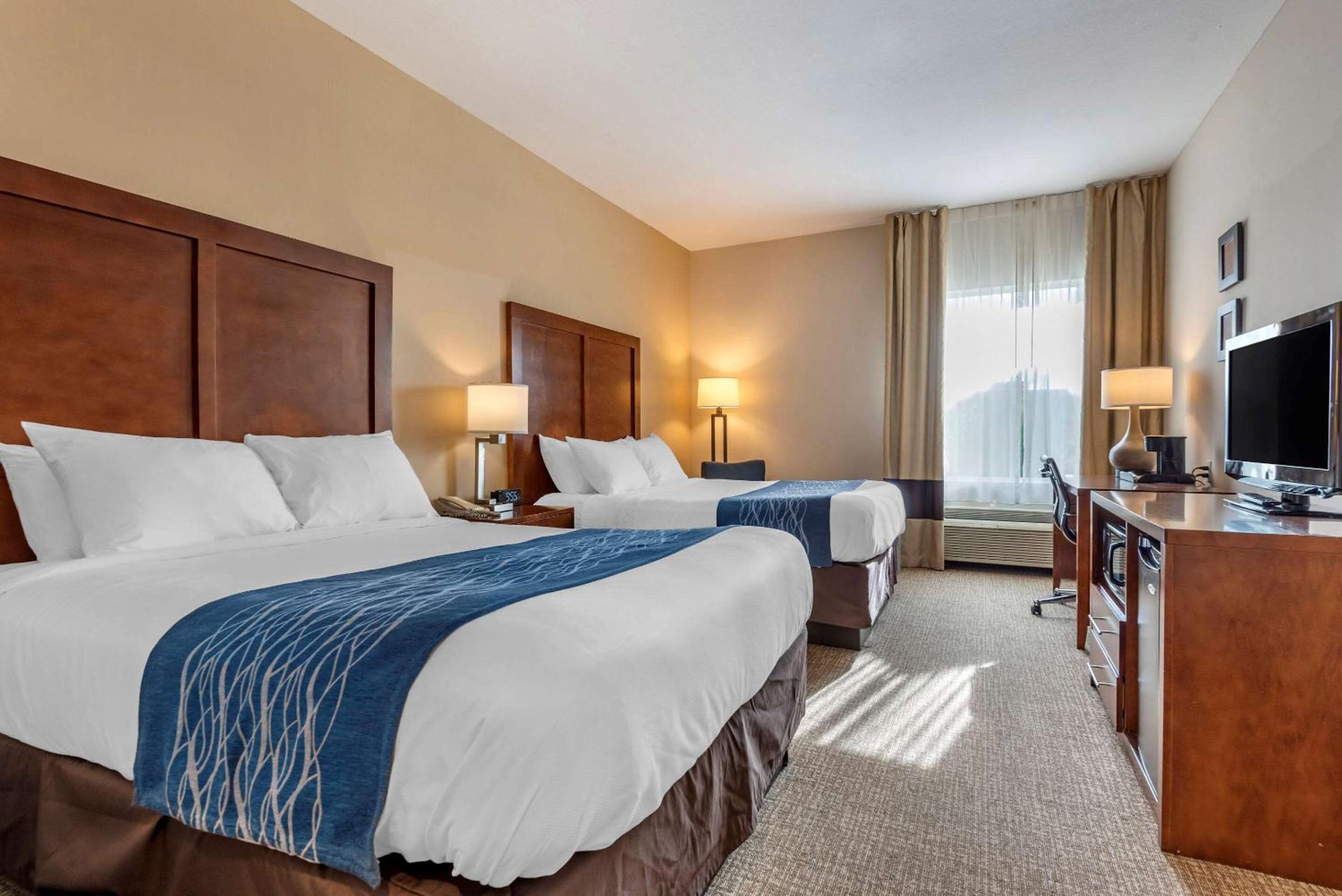 Comfort Inn Apalachin - Binghamton W Route 17
