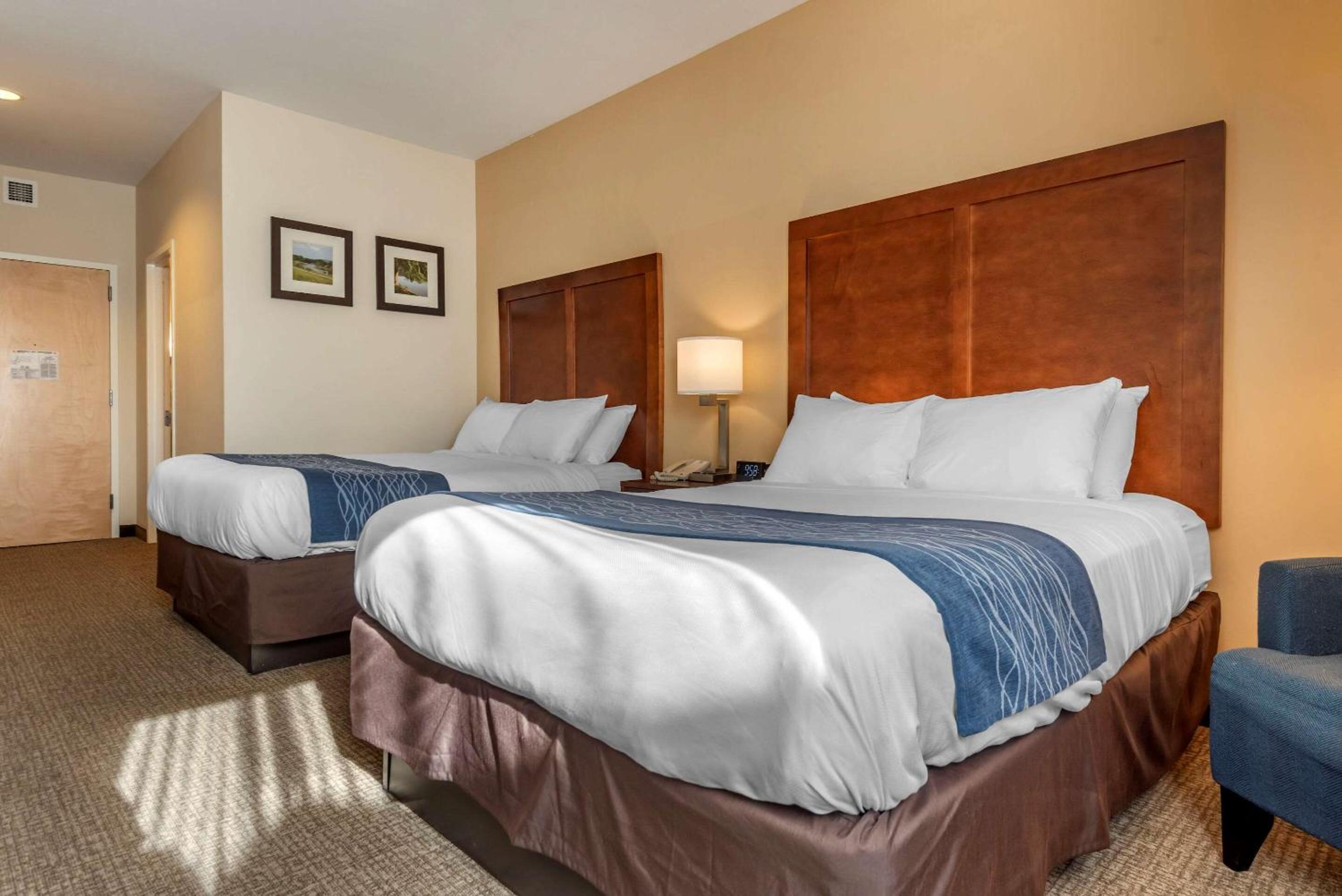 Comfort Inn Apalachin - Binghamton W Route 17