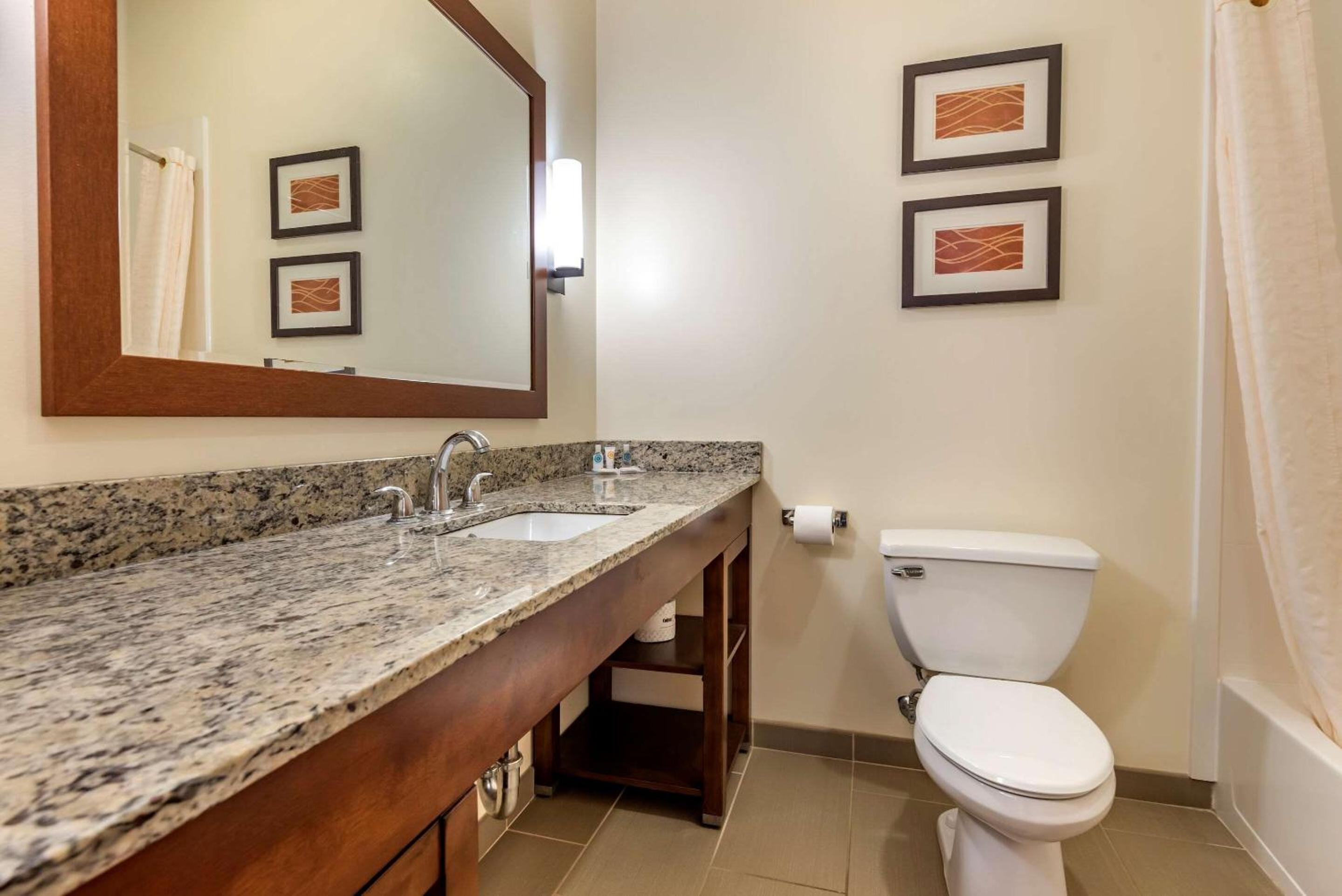Comfort Inn Apalachin - Binghamton W Route 17