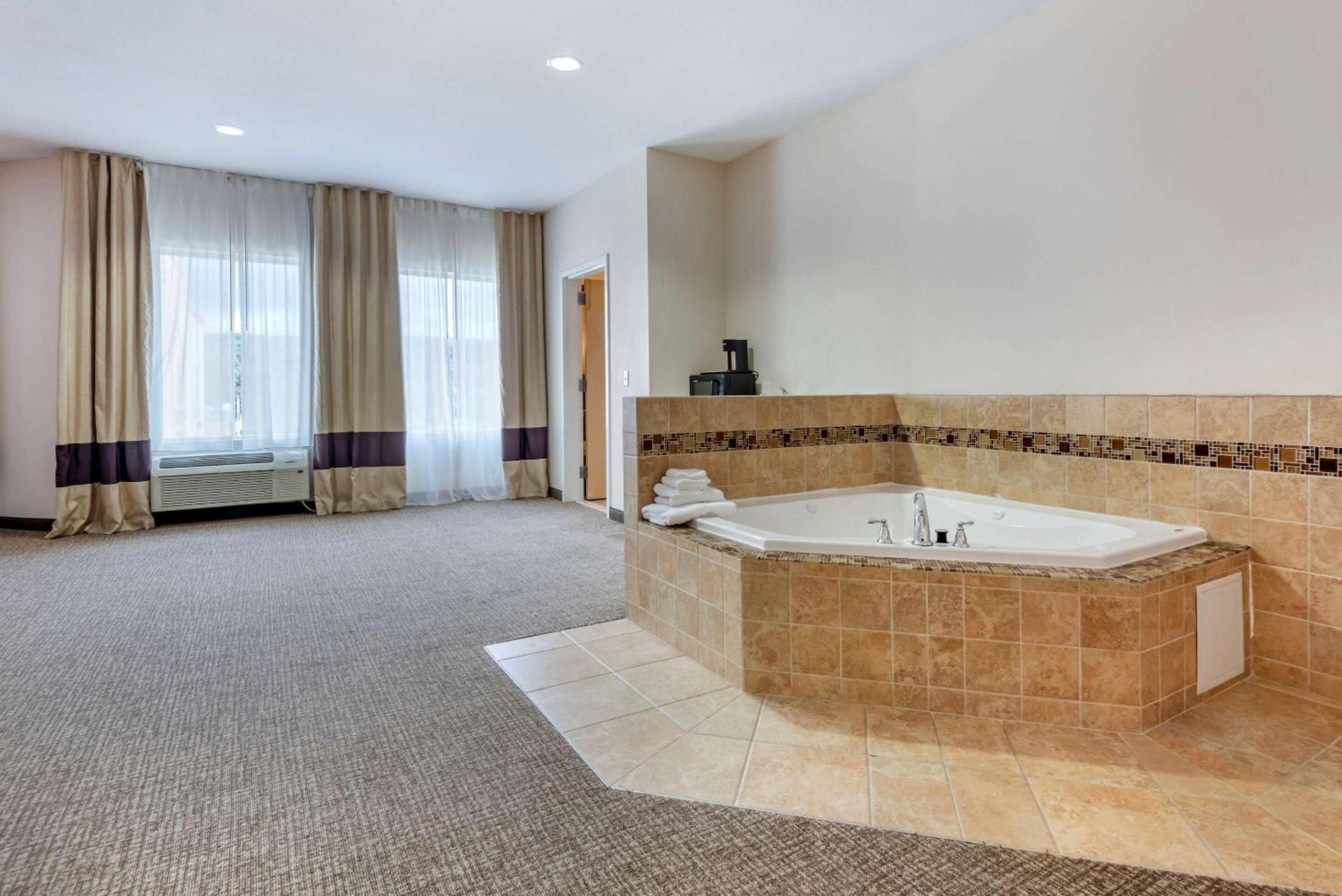 Comfort Inn Apalachin - Binghamton W Route 17