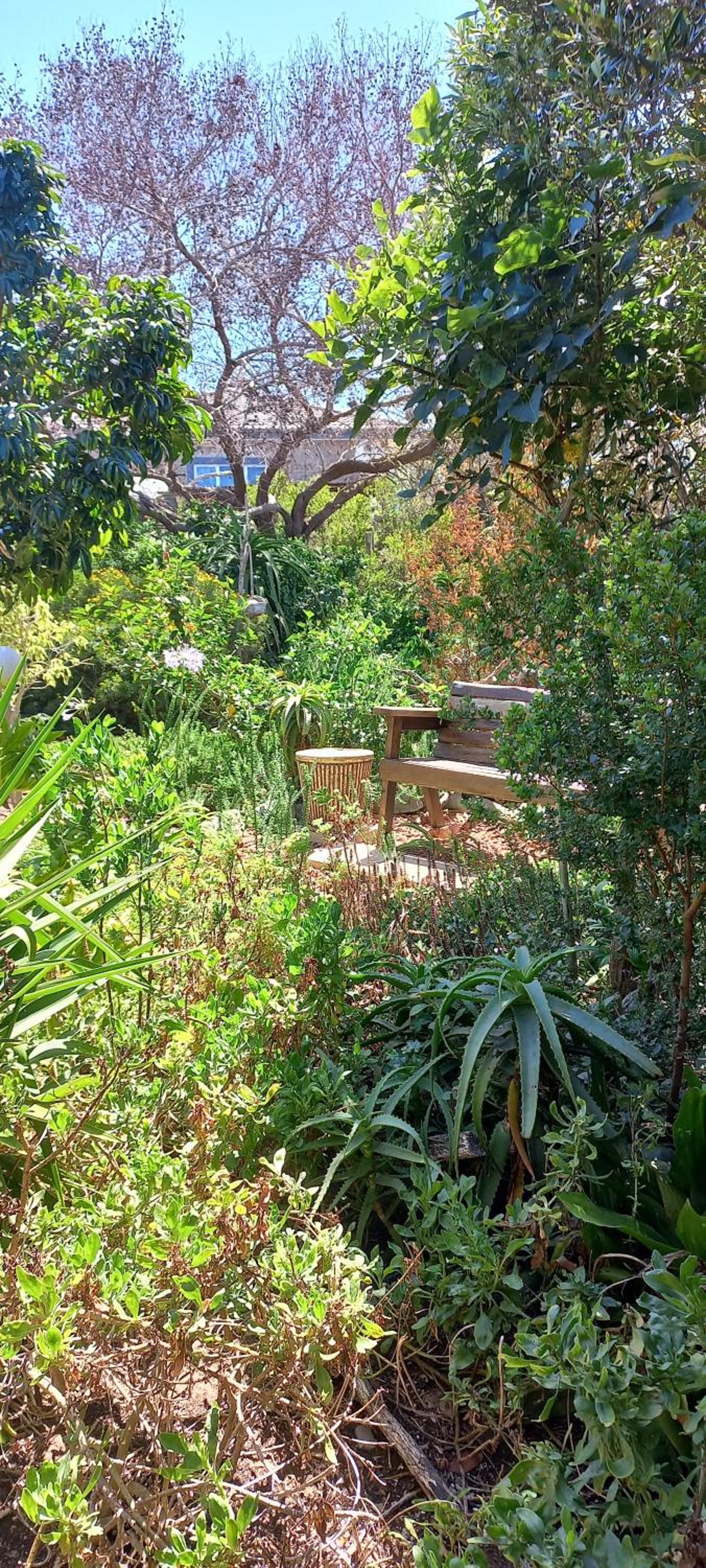 Whispering Gardens