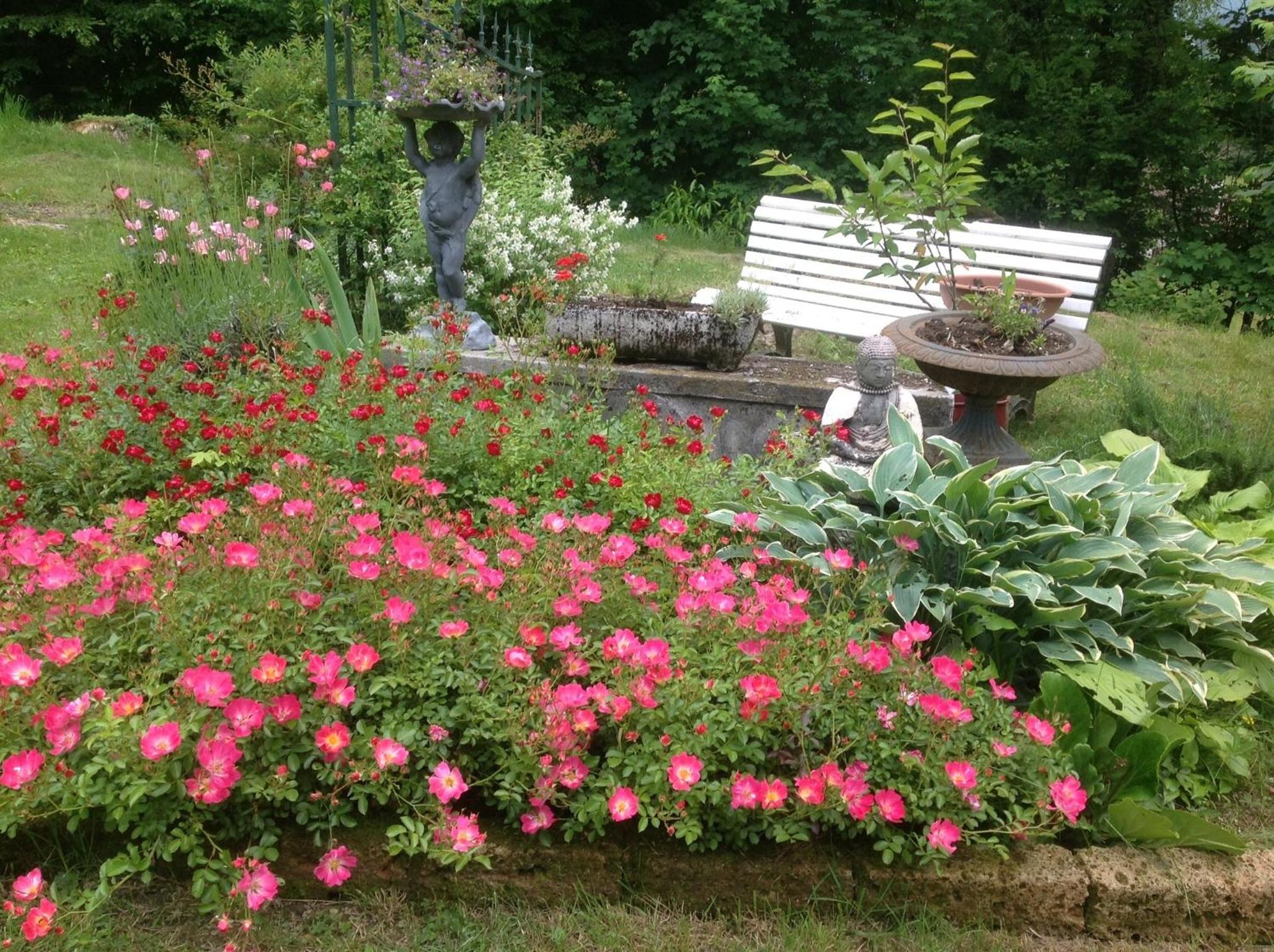 Photo 41