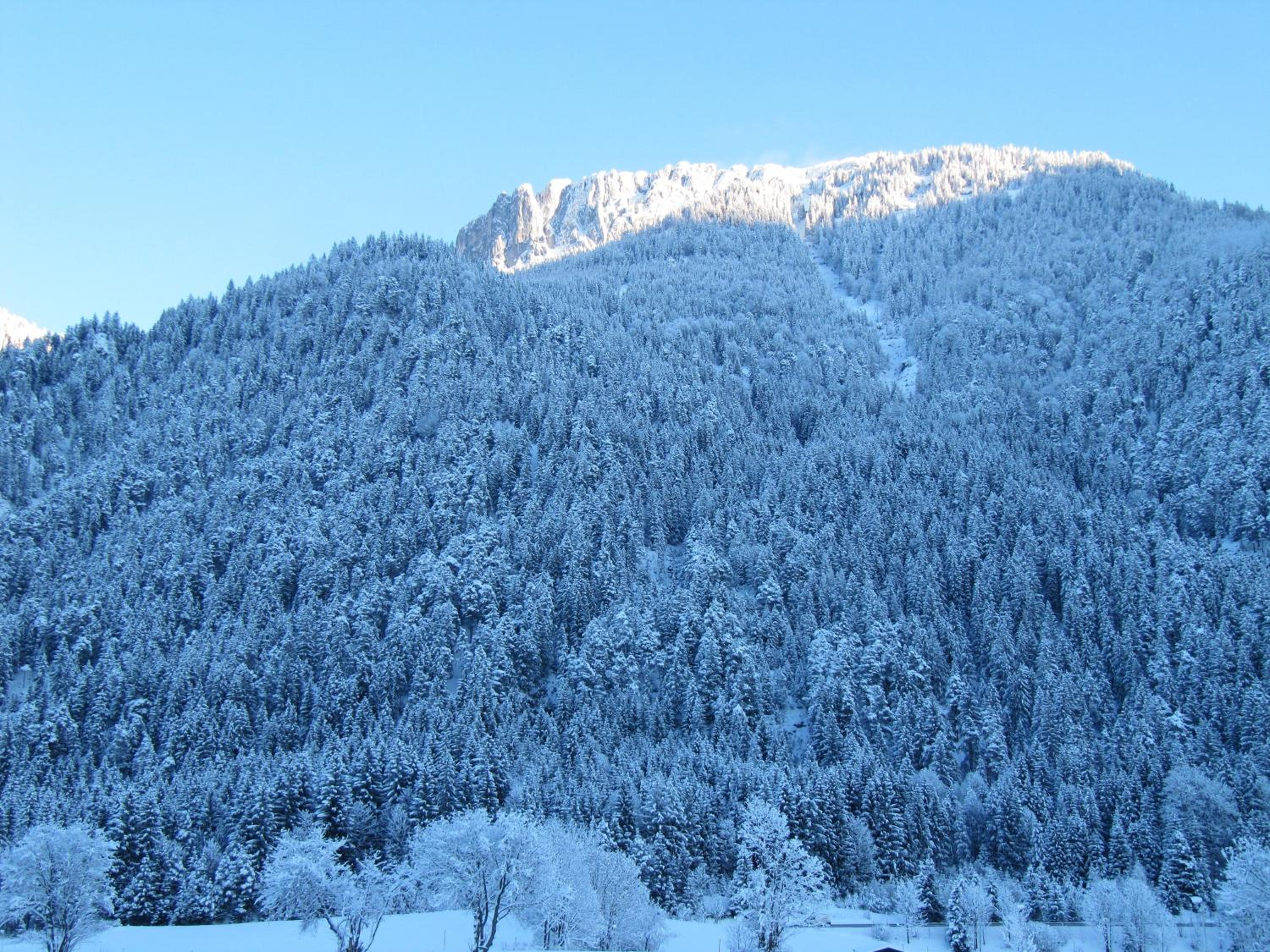 Photo 45