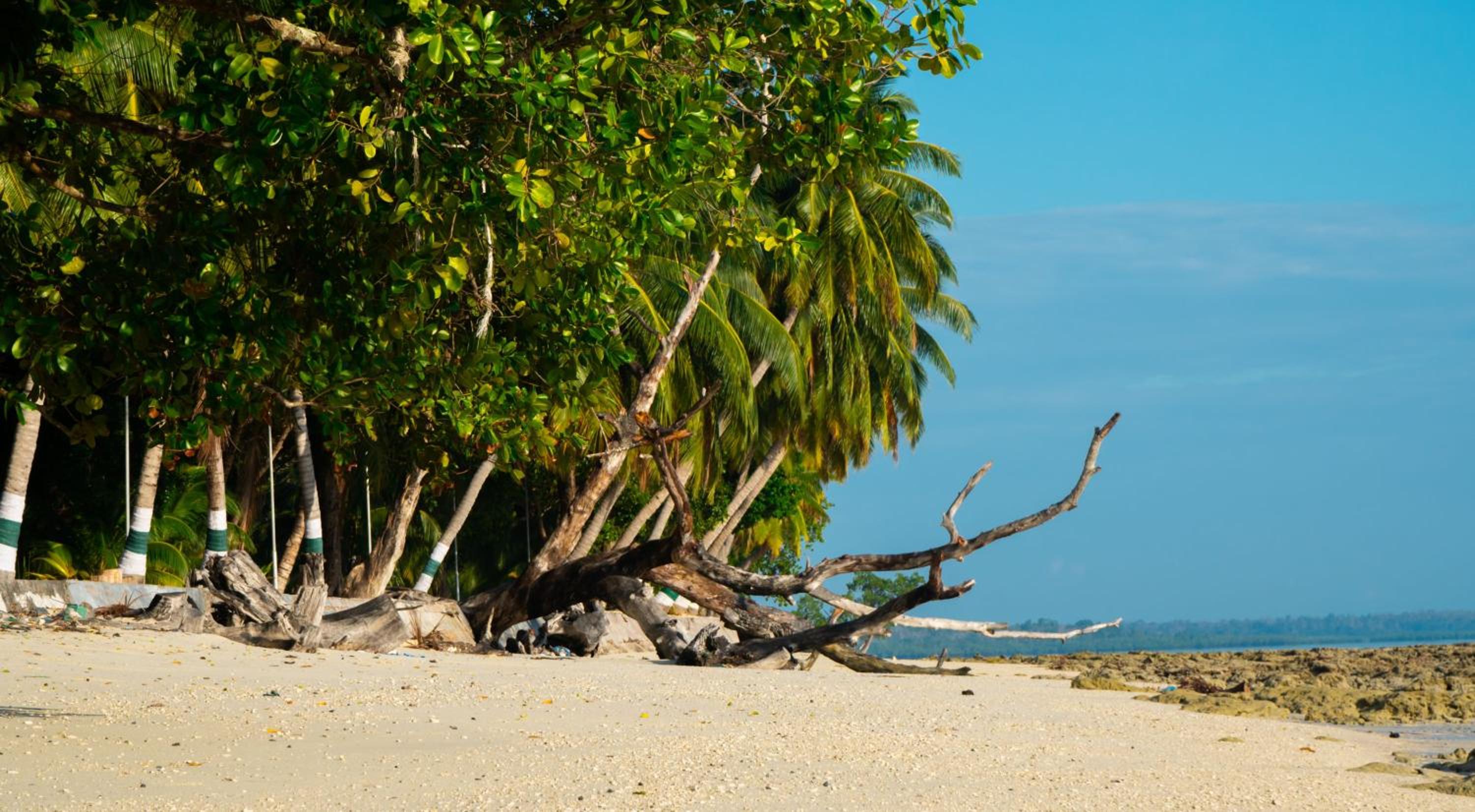 Coral Reef Resort & Spa, Havelock