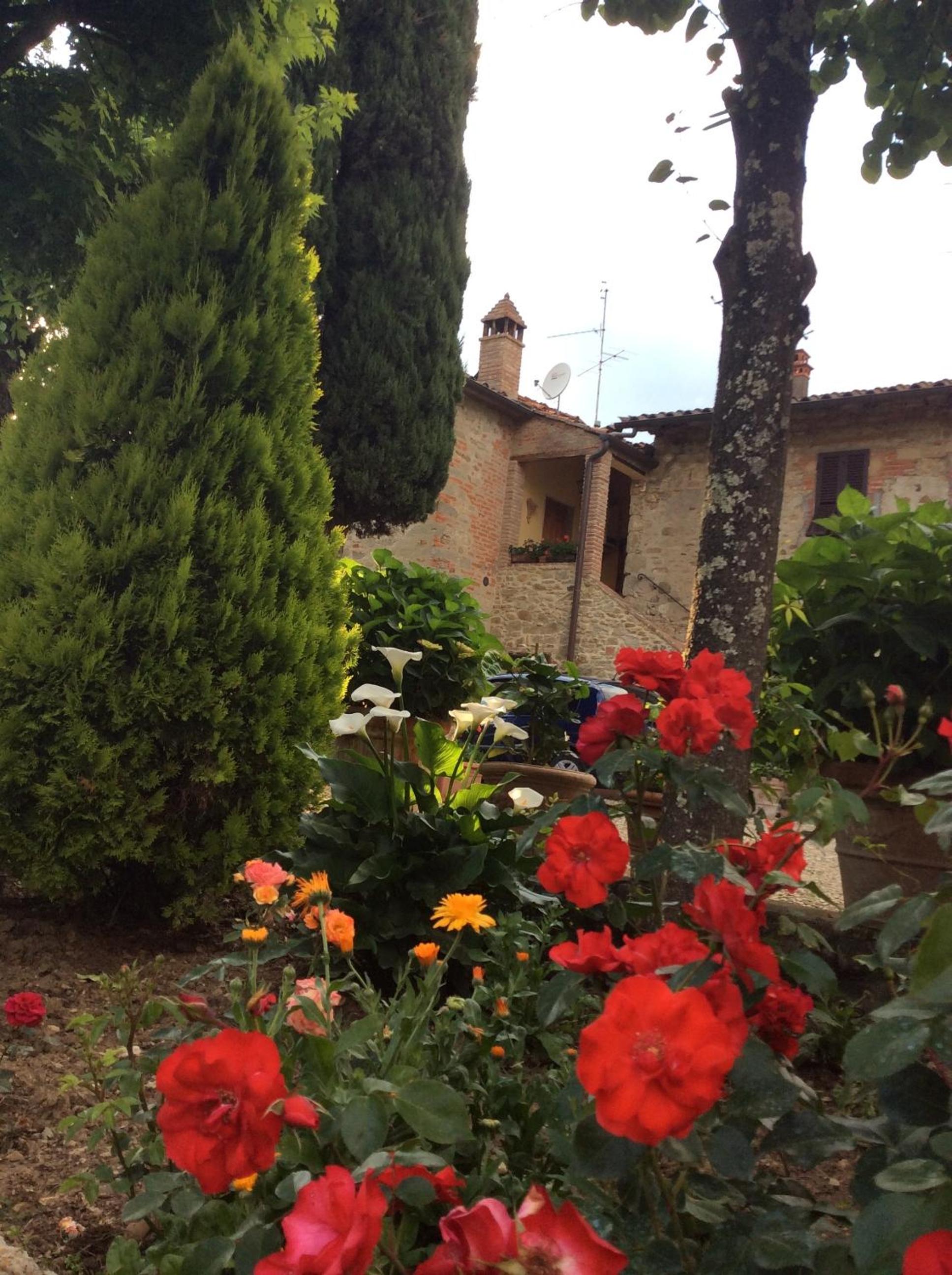 Photo 29