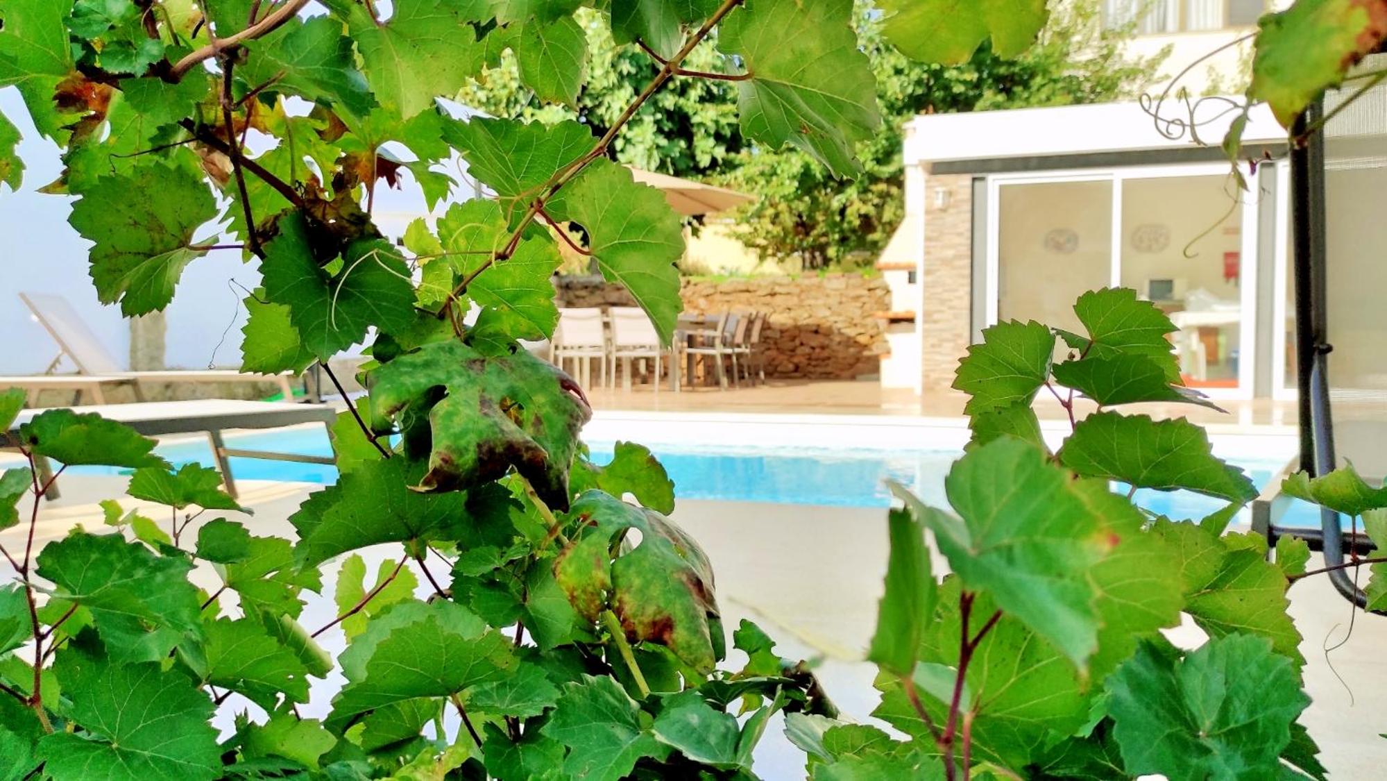 Villa D'Uvale Douro view 4
