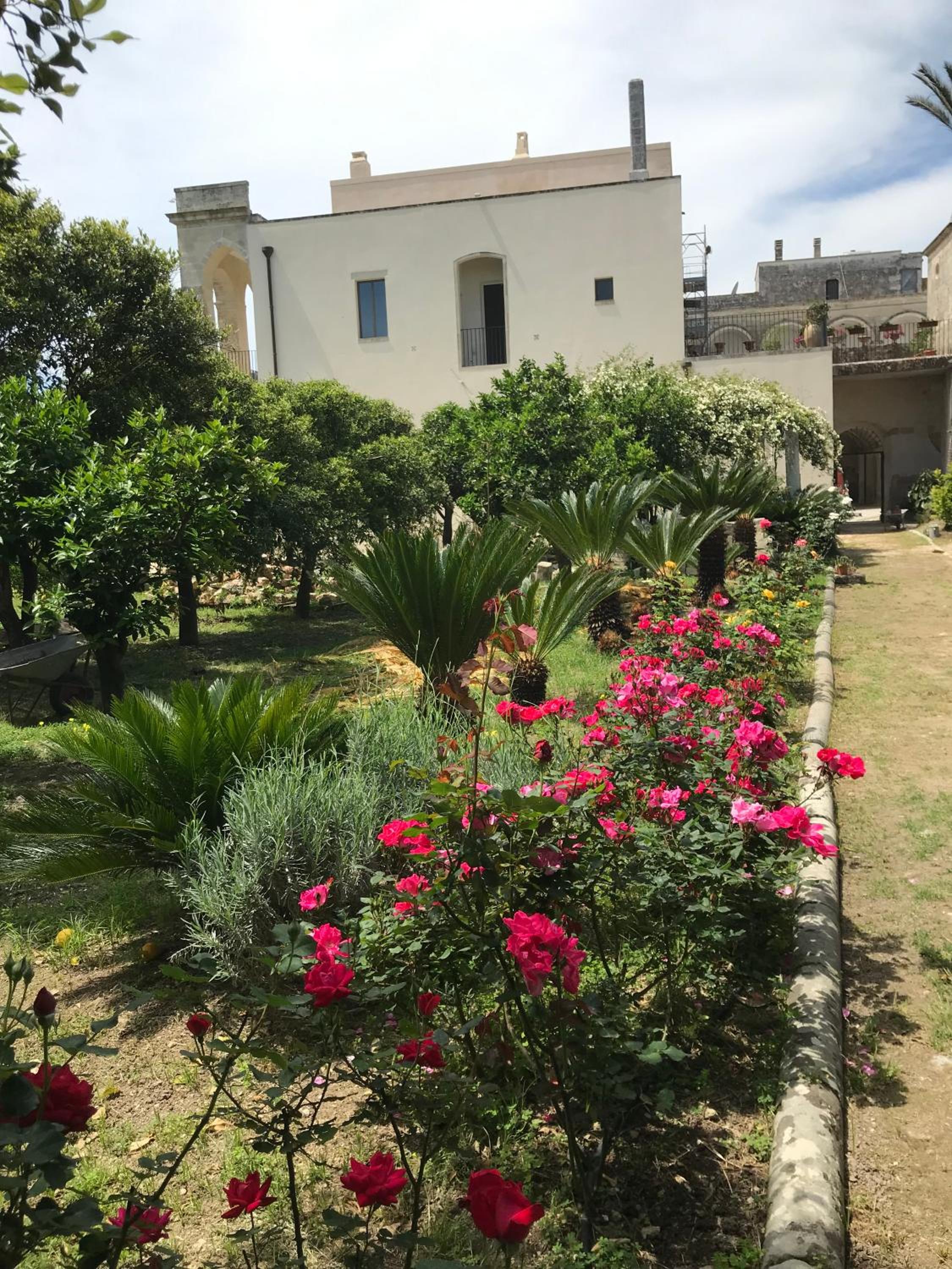 B&B Antico Aranceto