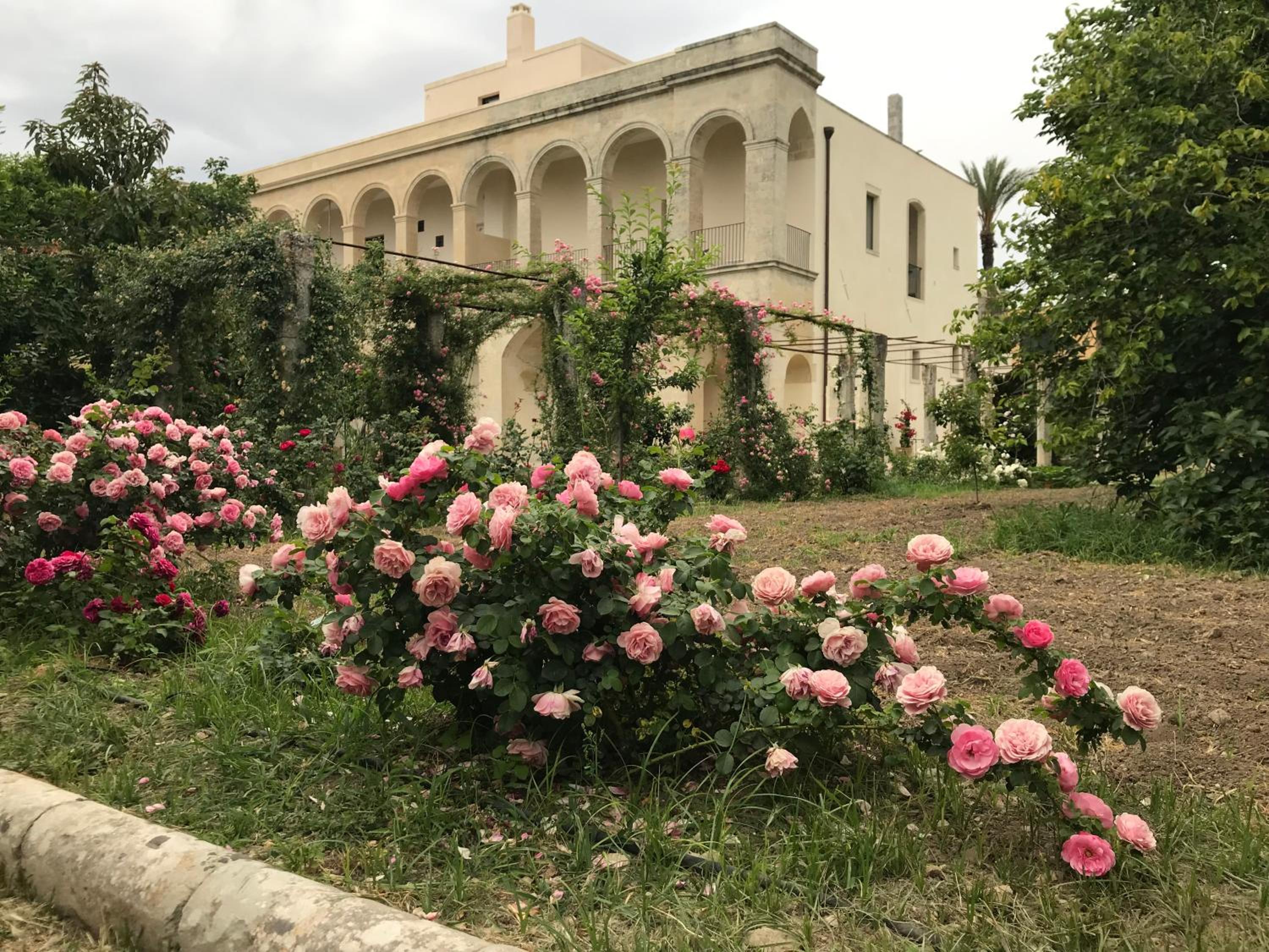 B&B Antico Aranceto