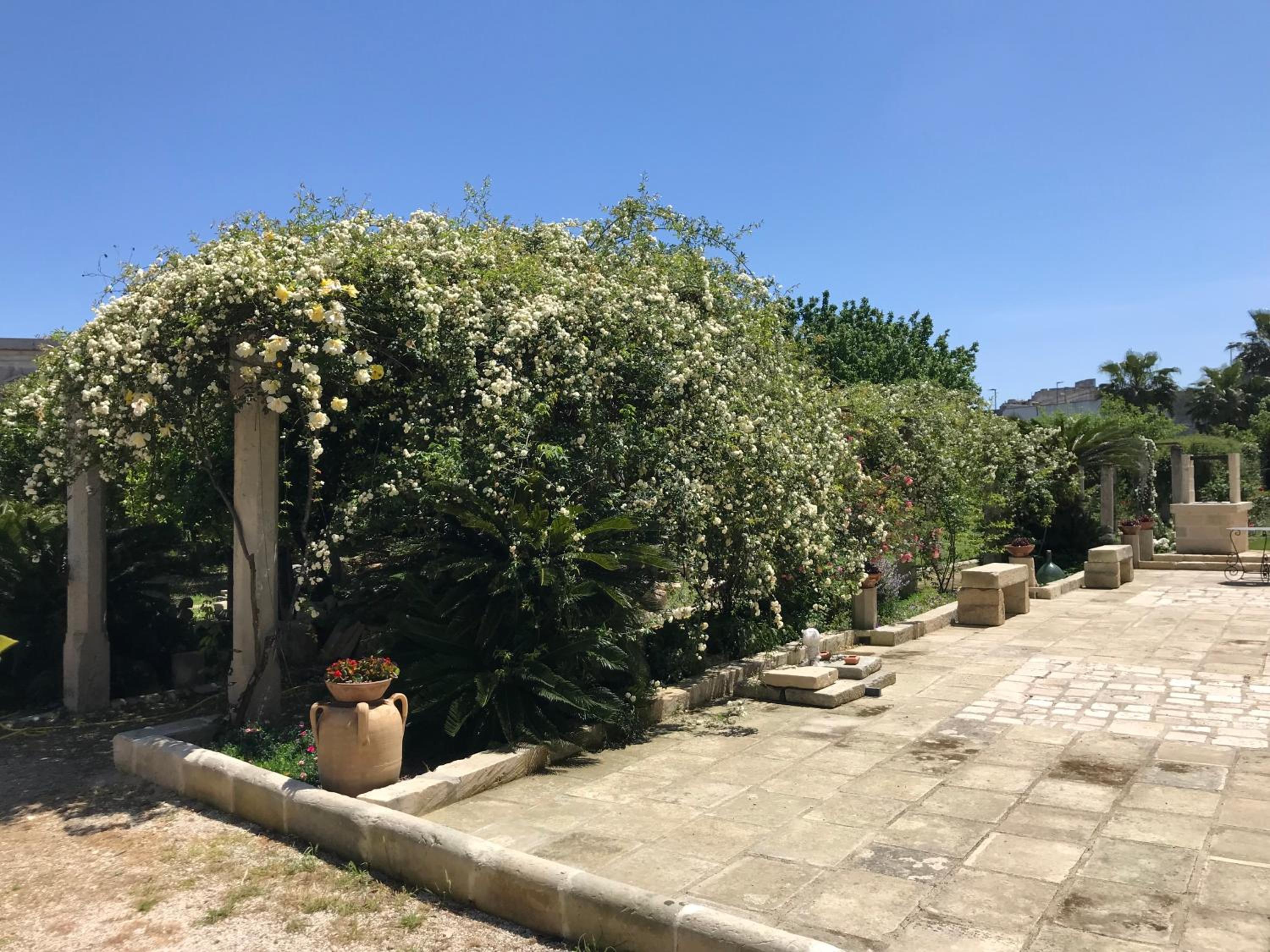 B&B Antico Aranceto