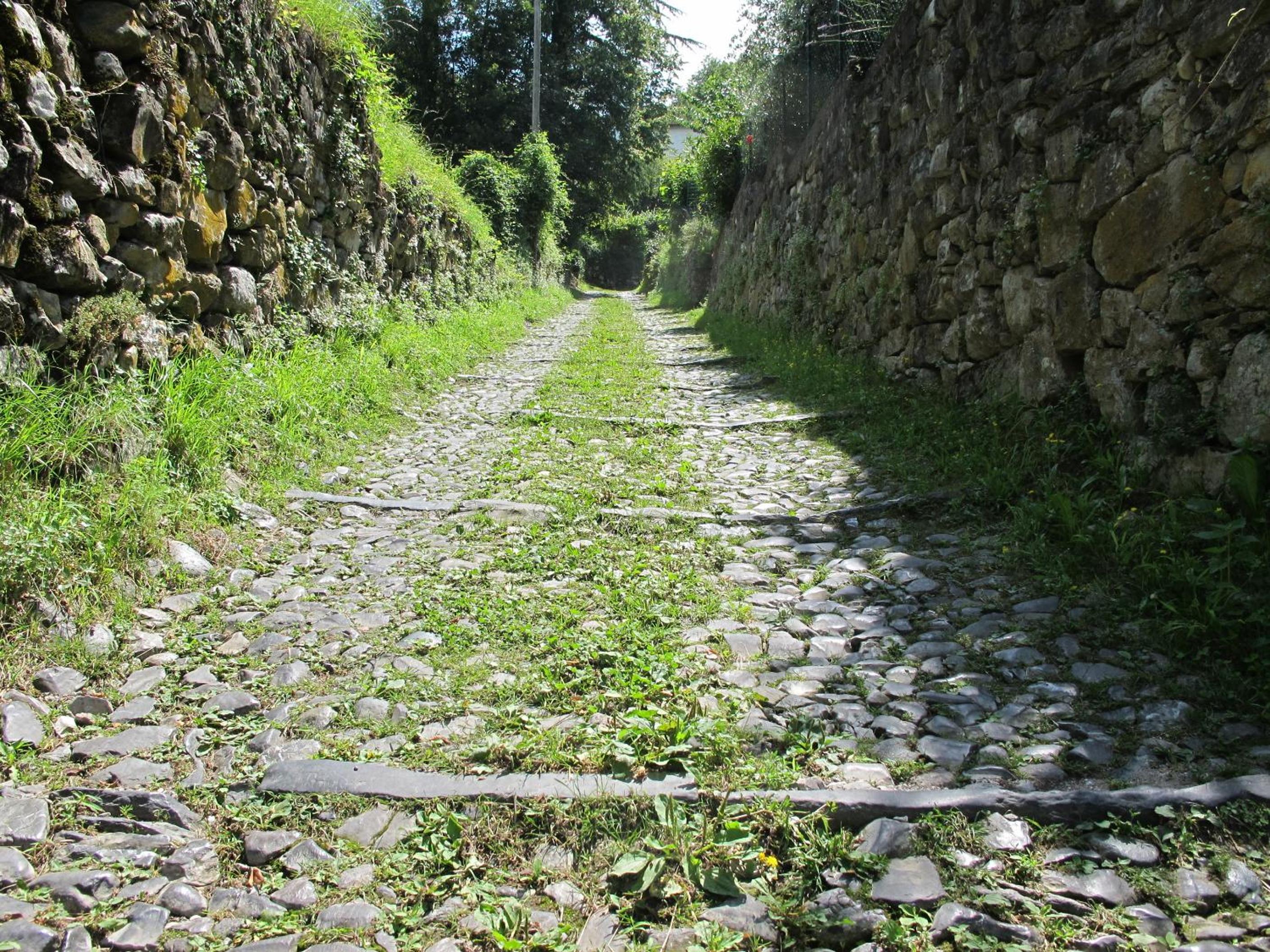 Agriturismo Madonna Dei Ceppi