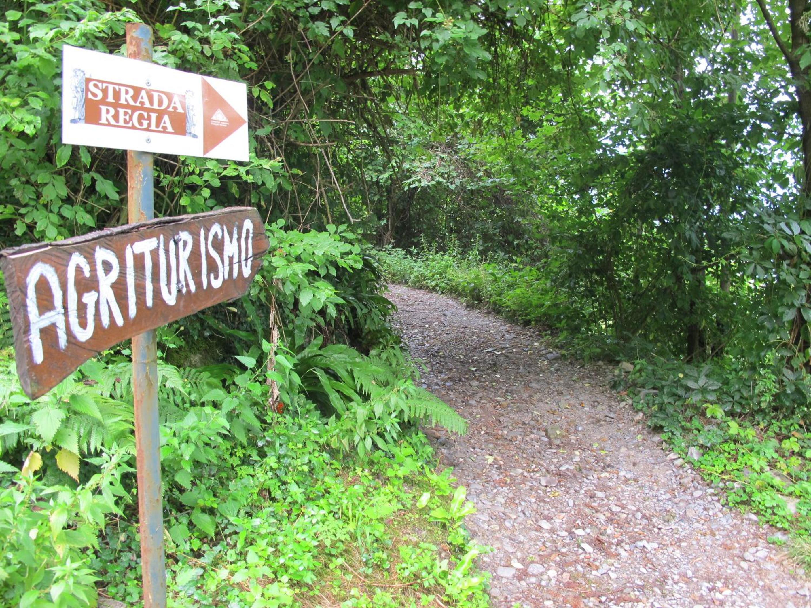 Agriturismo Madonna Dei Ceppi