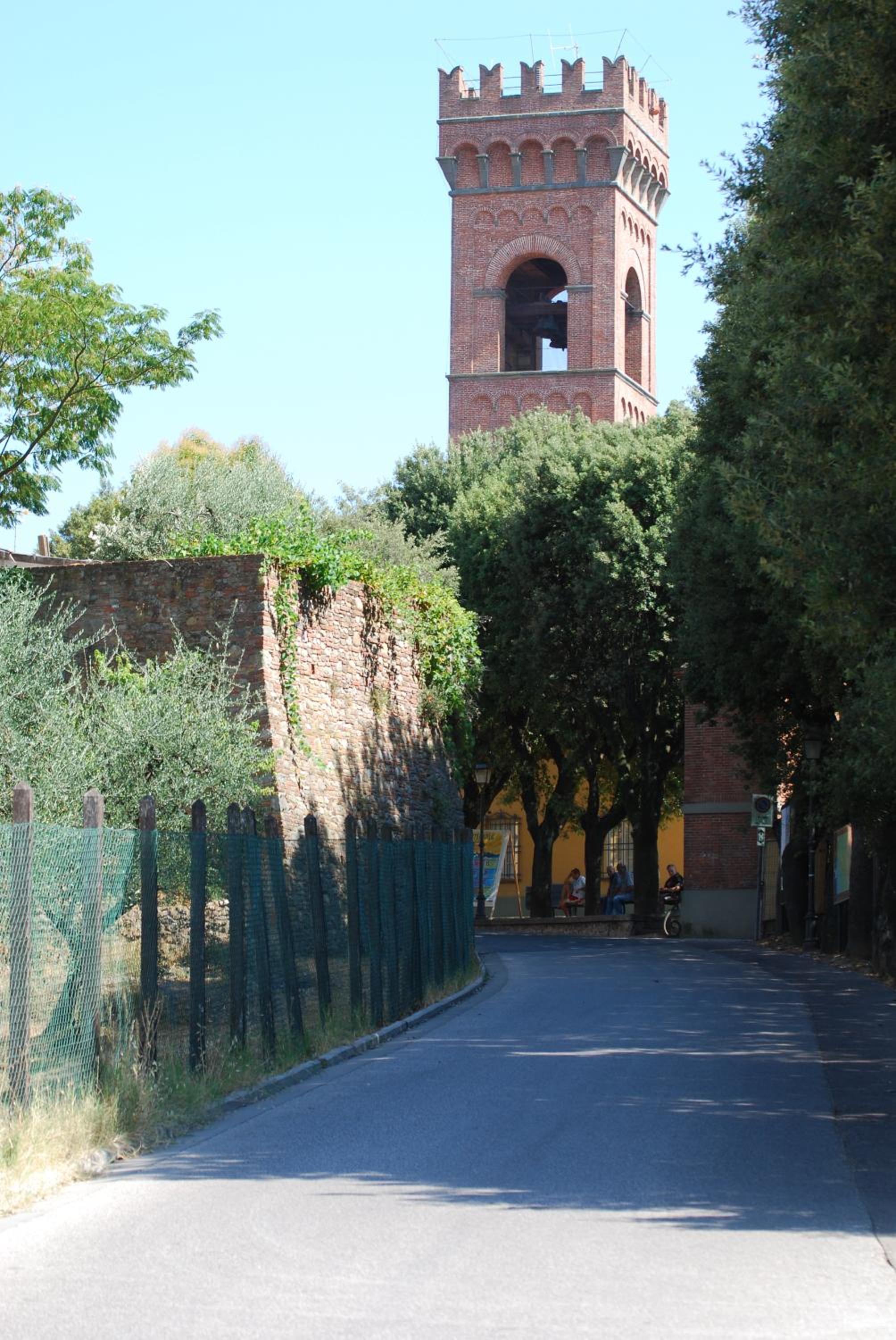 Photo 12