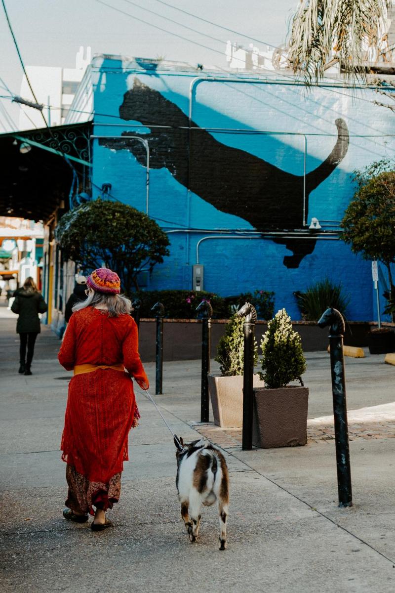 The Frenchmen New Orleans by Kasa Living 38