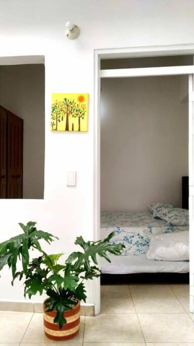 Apartamento amoblado en La Tebaida, Quindio