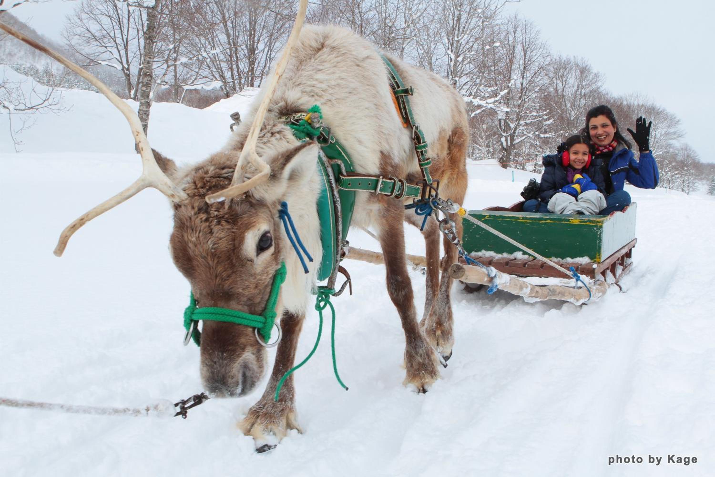 Kasara Niseko Village Townhouse - Small Luxury Hotels of The World