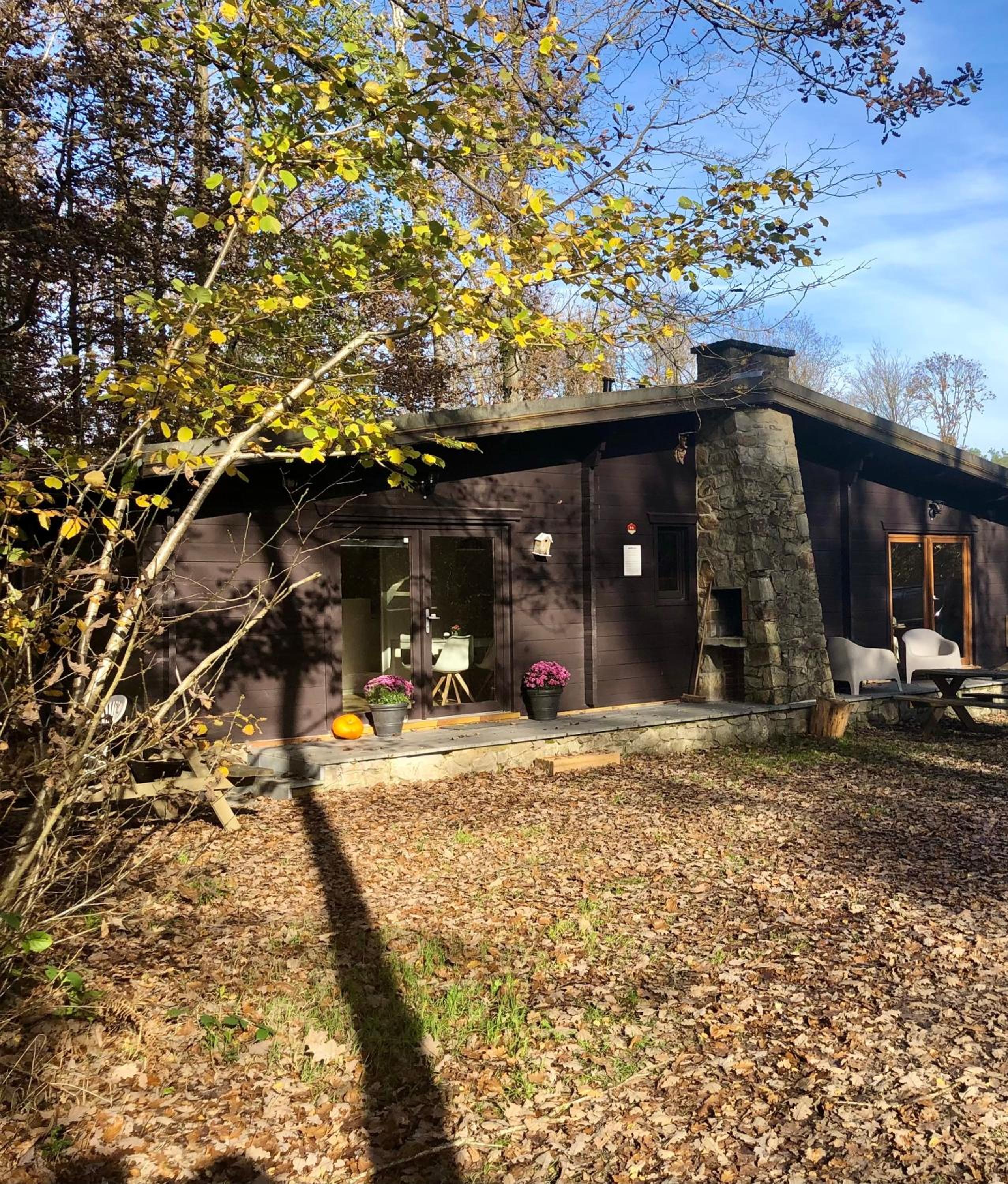 Forest Lodge view 3