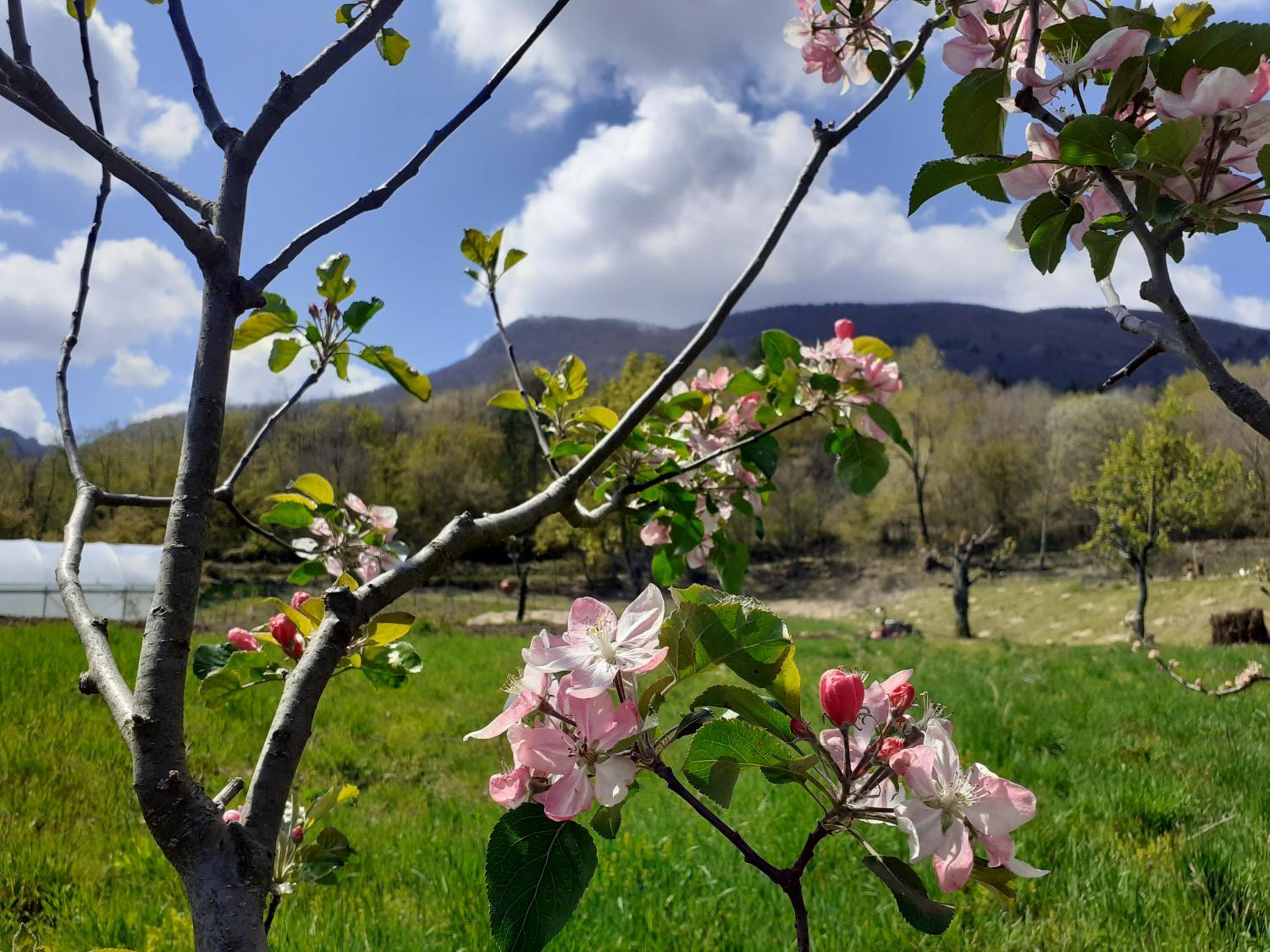 Cà Gennara Agri B&B