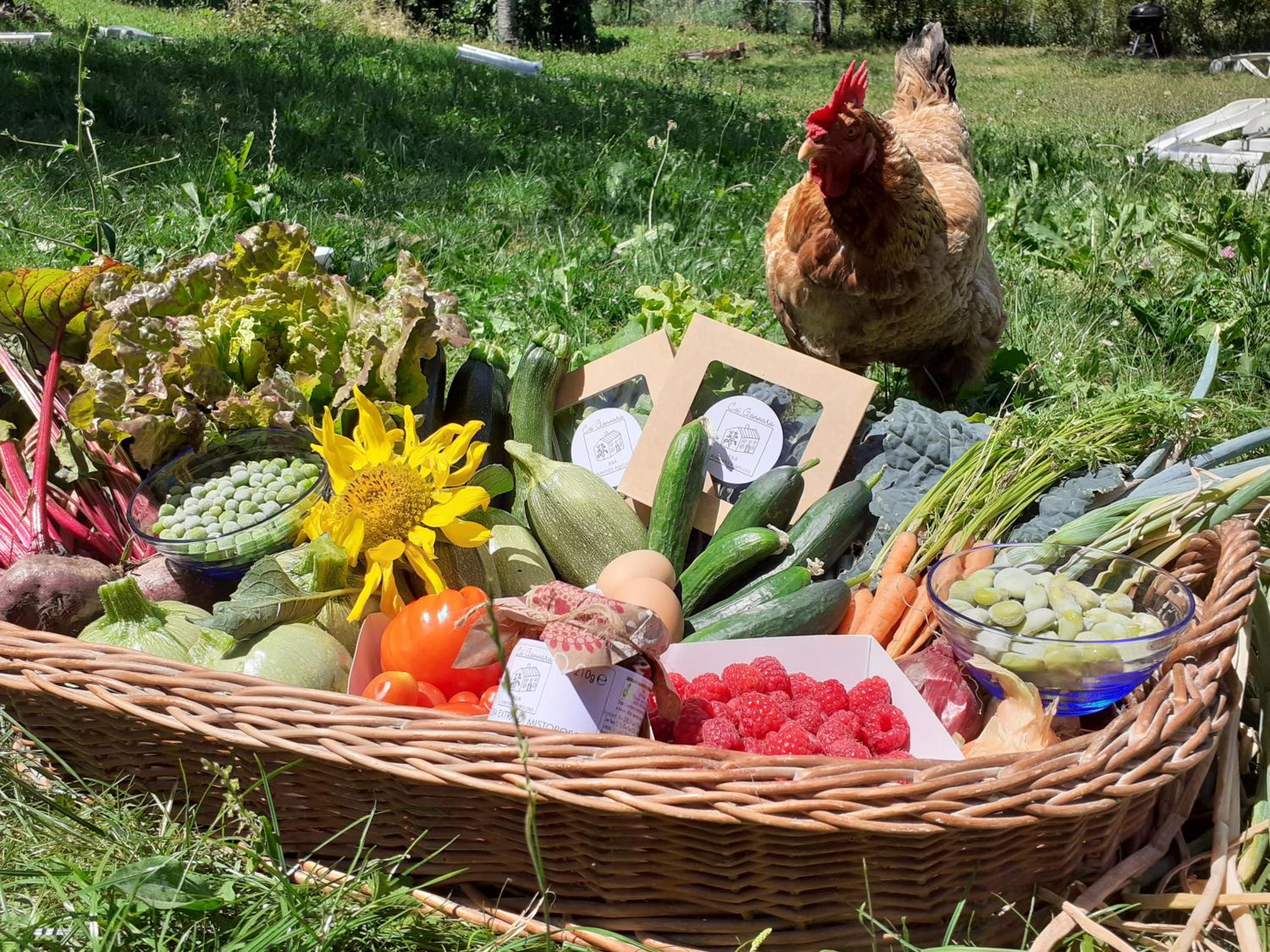 Cà Gennara Agri B&B
