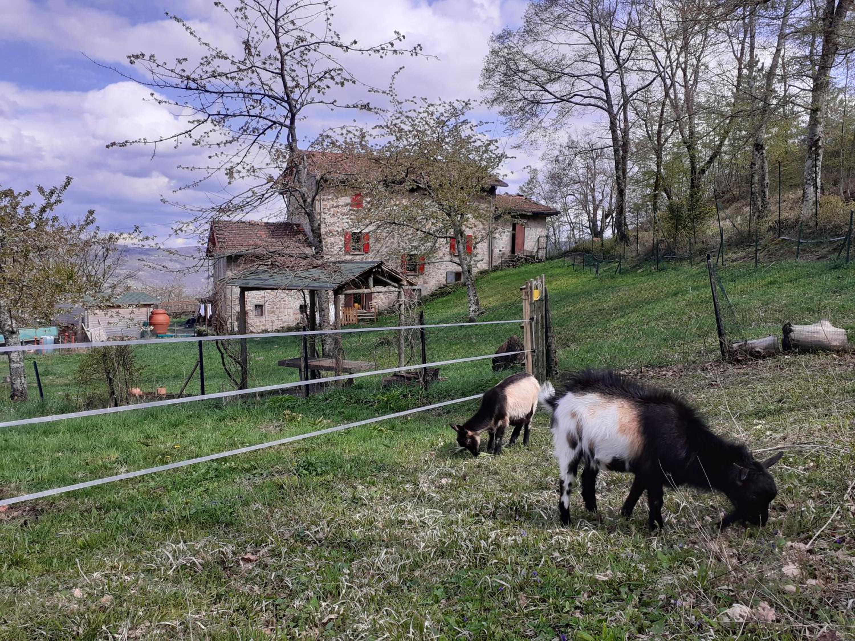 Cà Gennara Agri B&B
