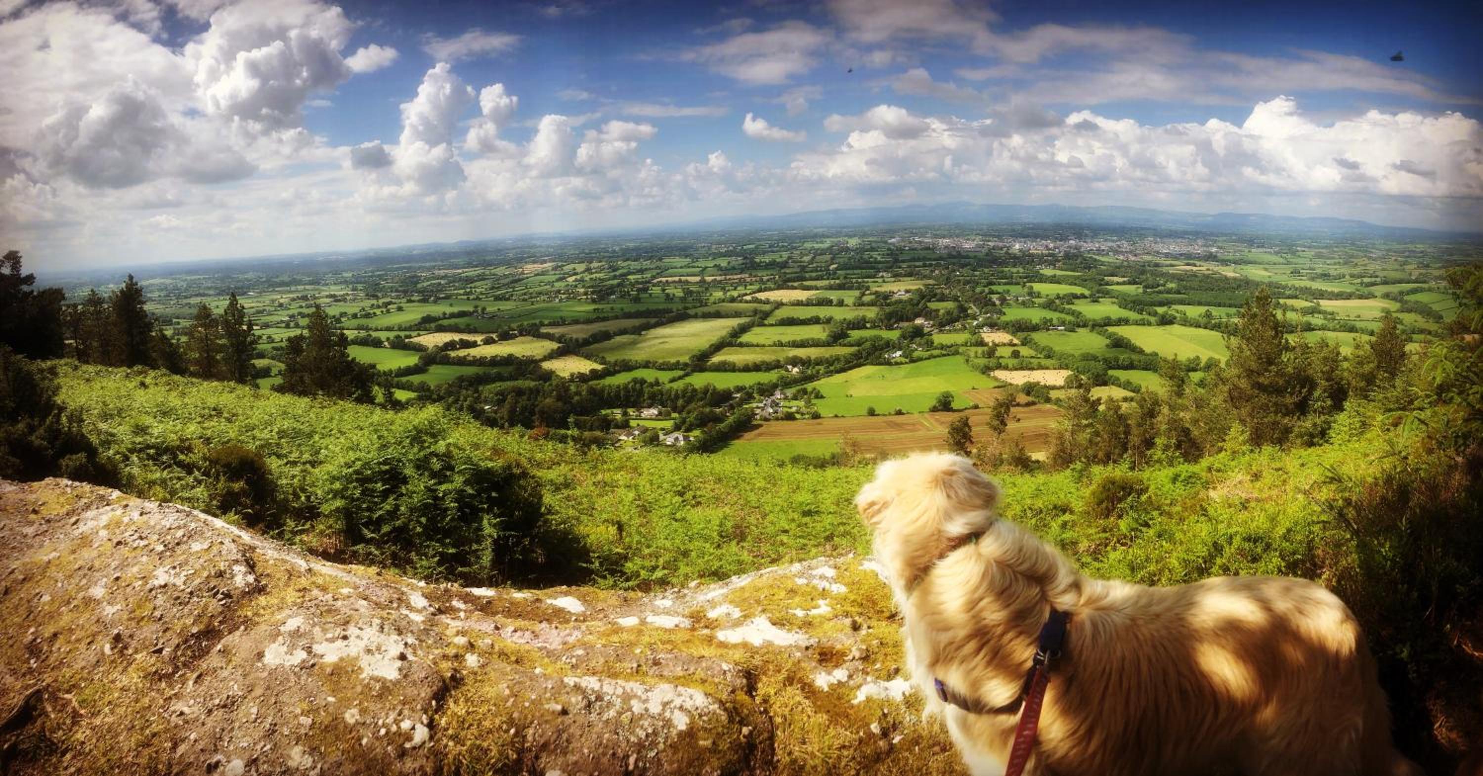 Ballyglass Country House view 5