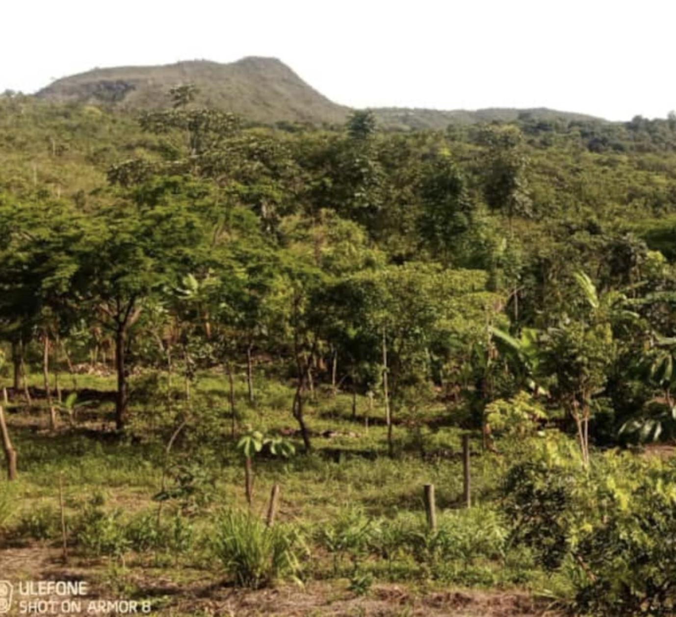 Chale duplex com vista para a Serra do Segredo