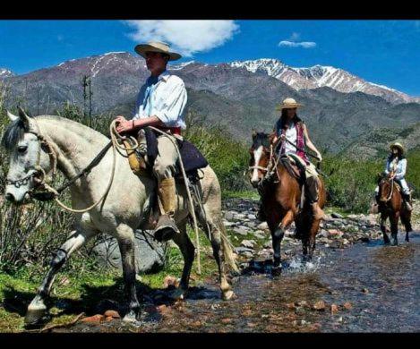 CABAÑA.Manzano histórico. Paz y montaña