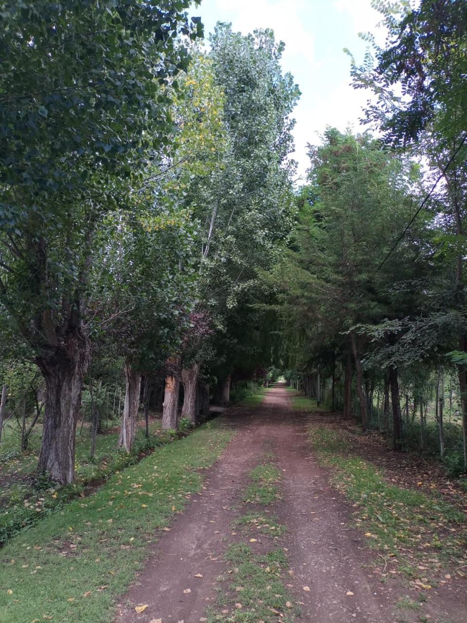 CABAÑA.Manzano histórico. Paz y montaña