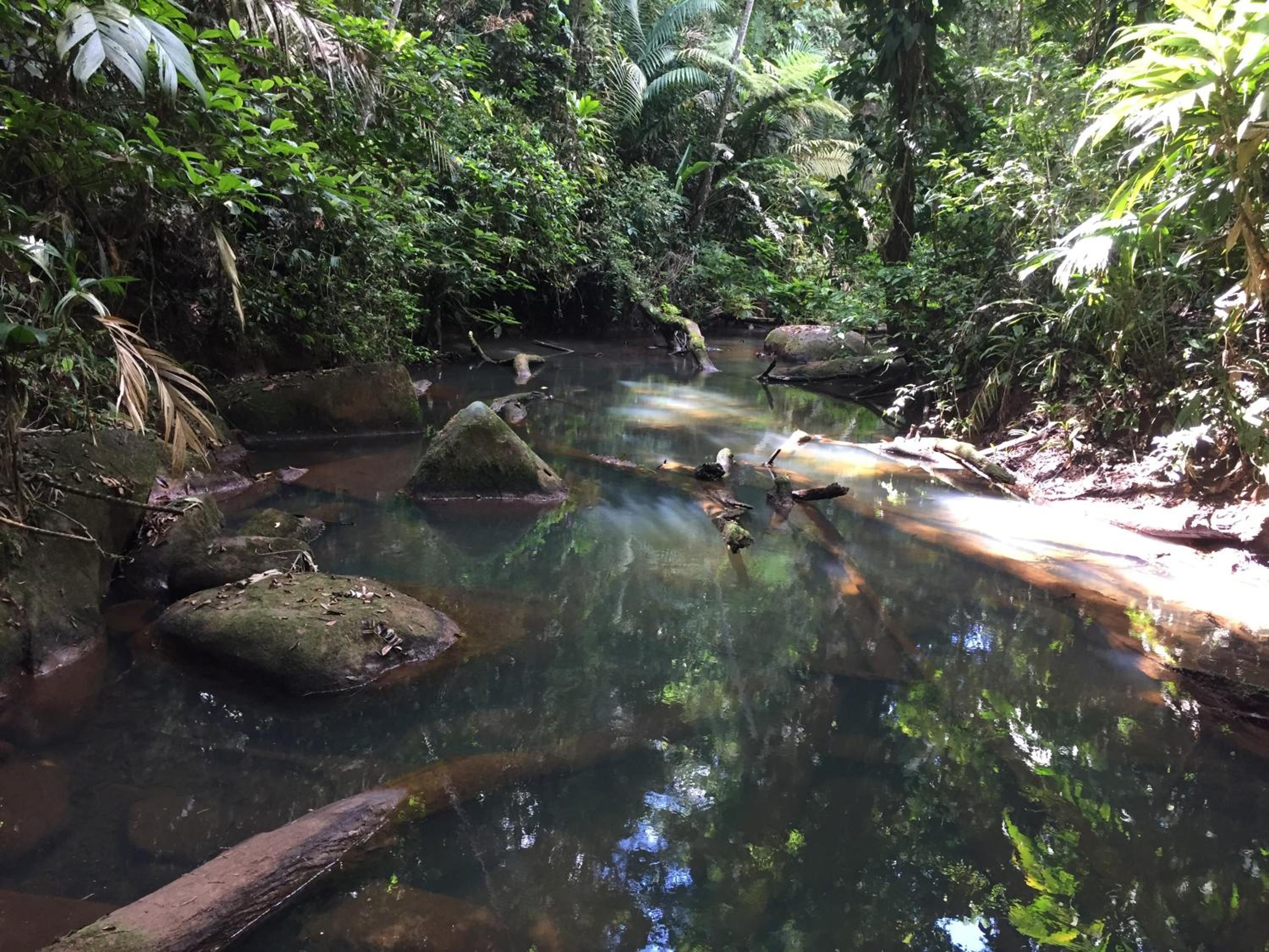 Iguanitas Lodge