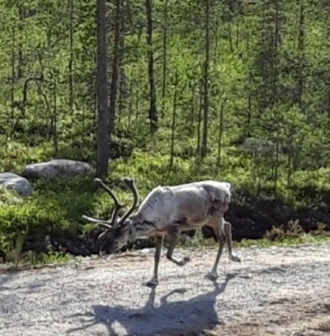 Photo 48