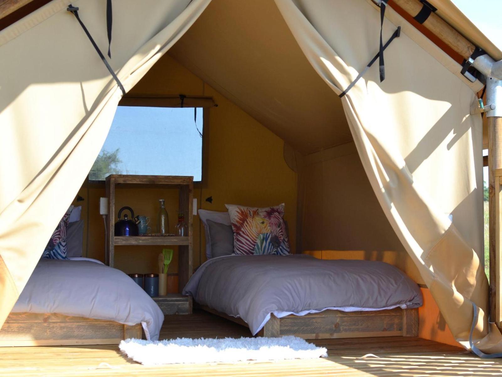 Hluhluwe Vacations - Hluhluwe Bush Camp Glamping Village - Property Image 3