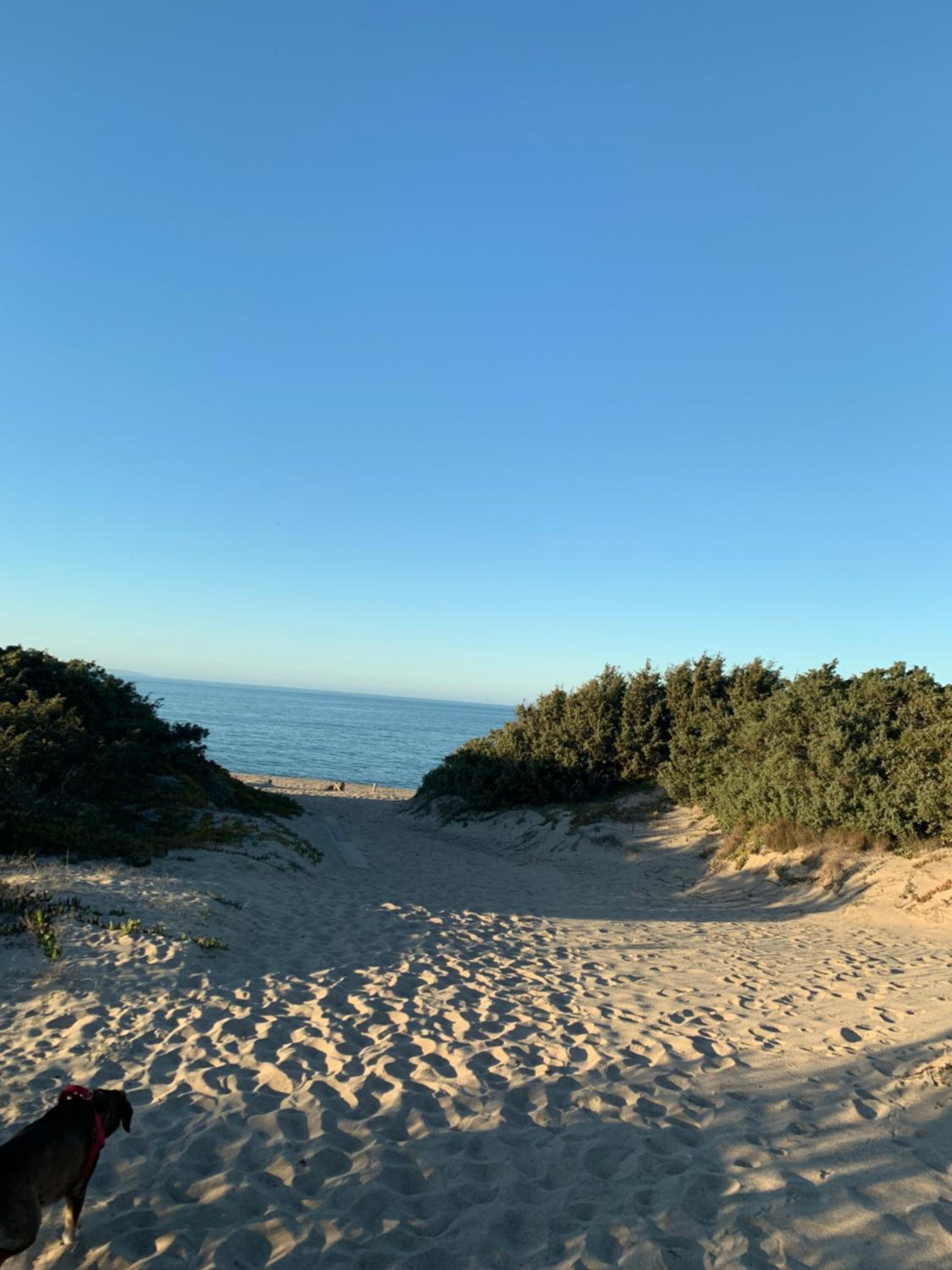 Tutti al mare