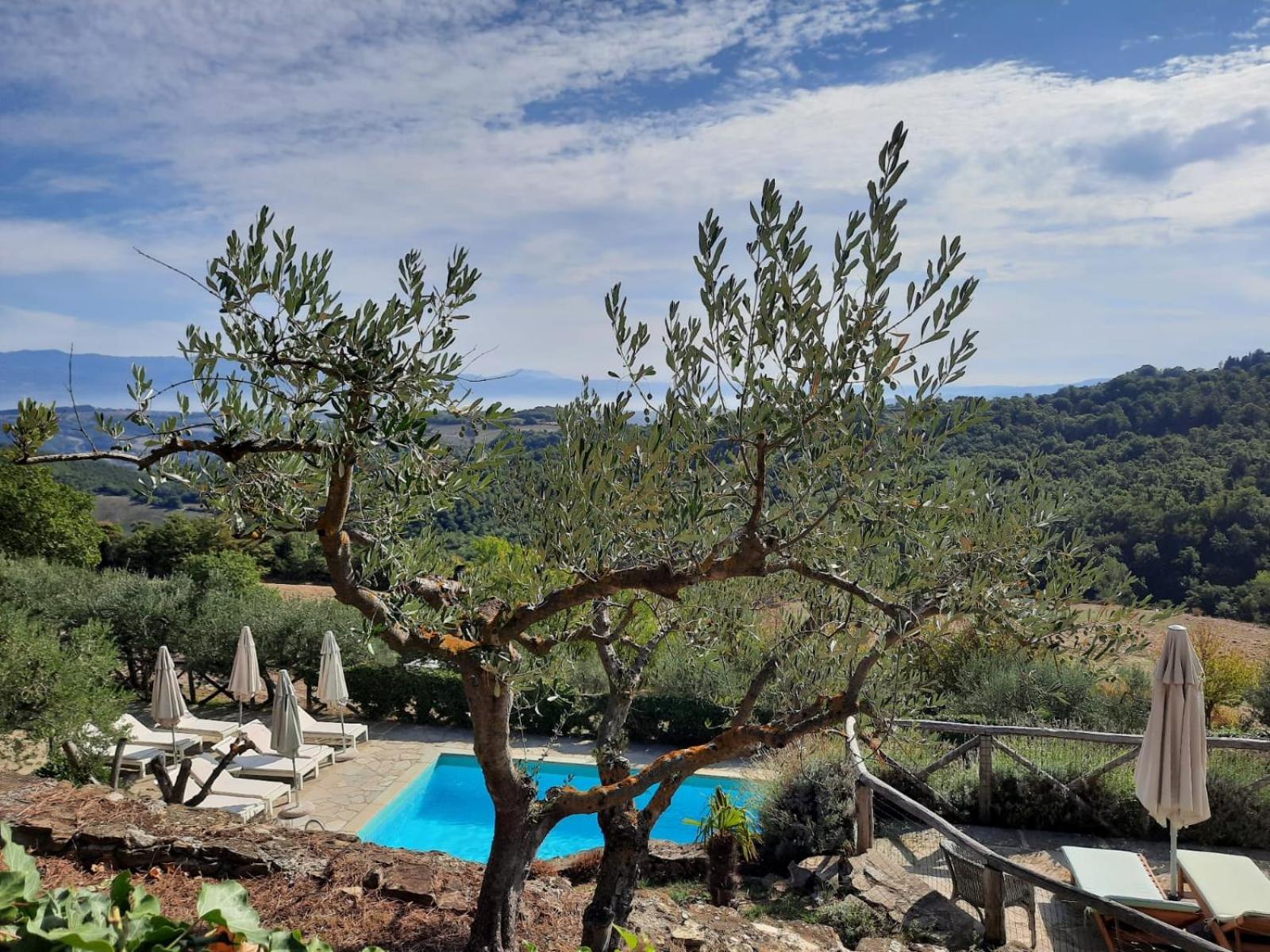 Relais Il Pozzeto
