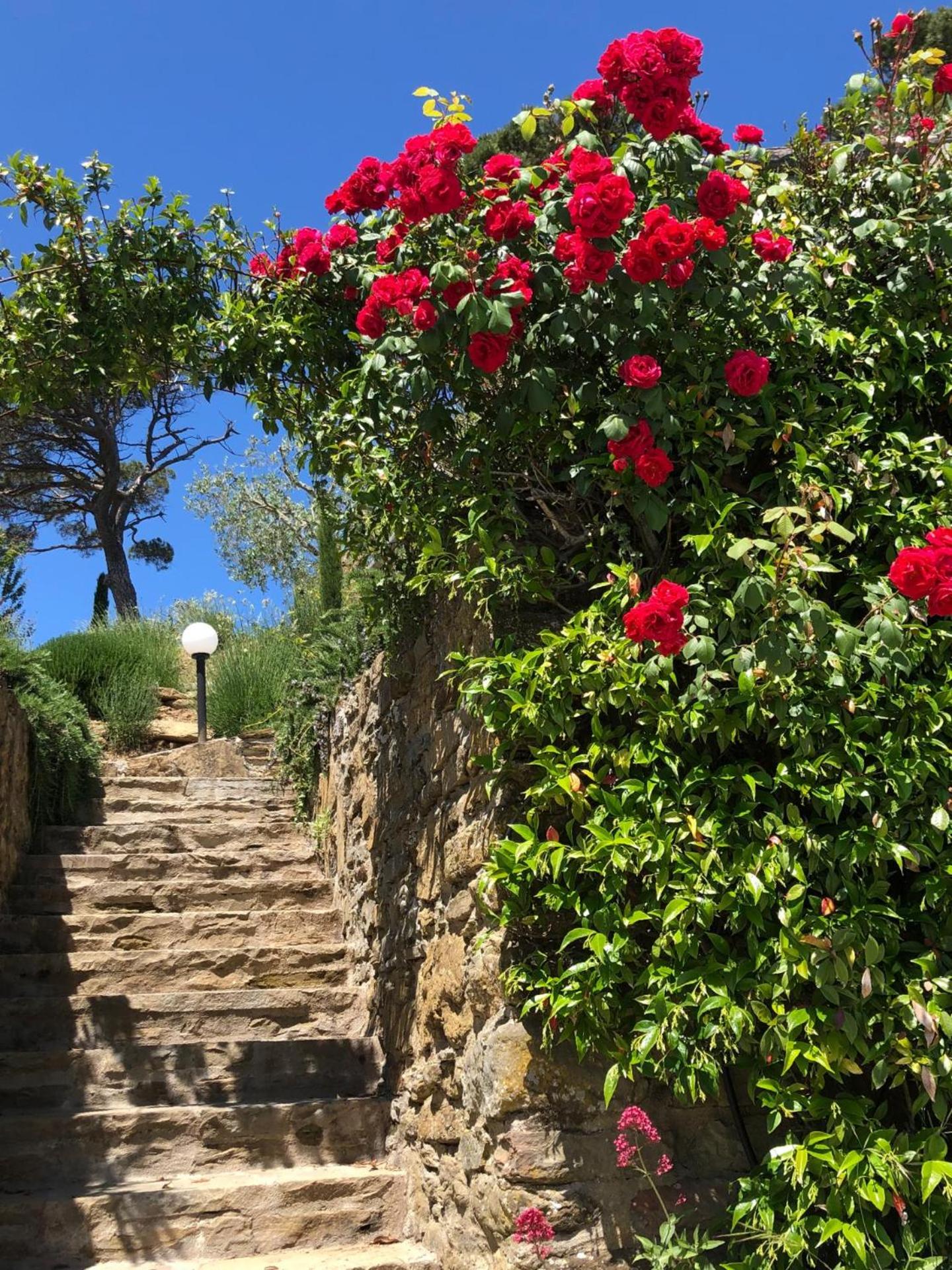Relais Il Pozzeto