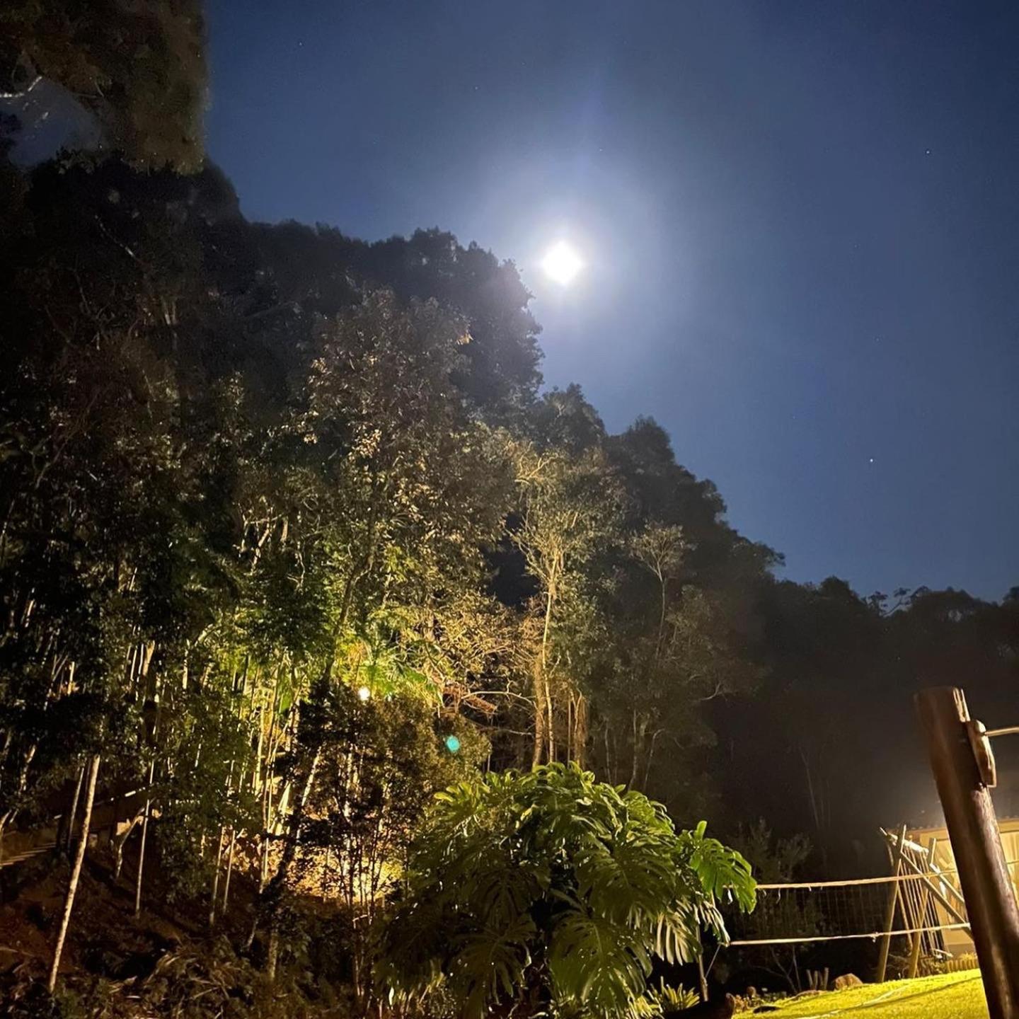 Bangalô na Natureza