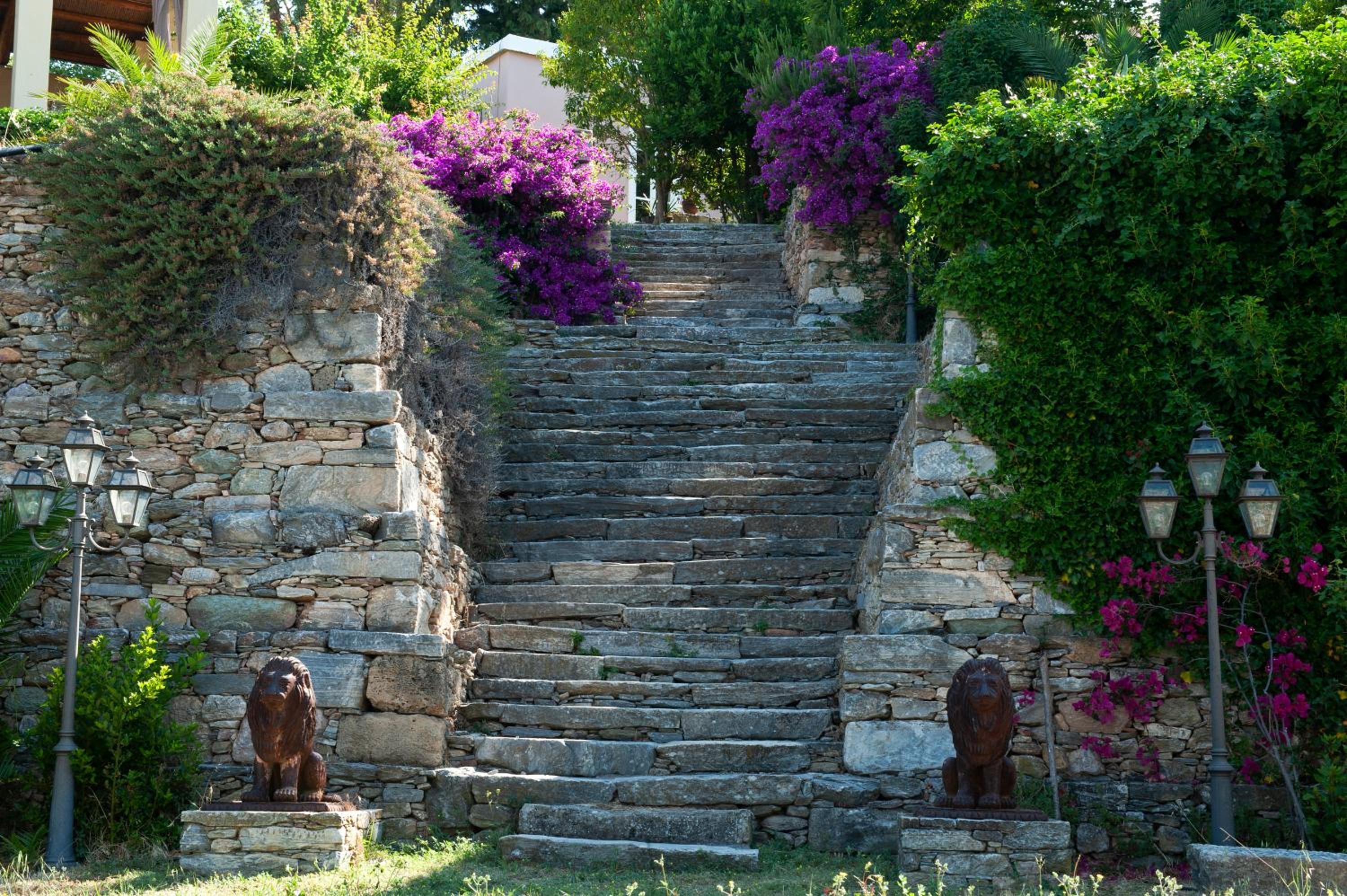 Photo 46