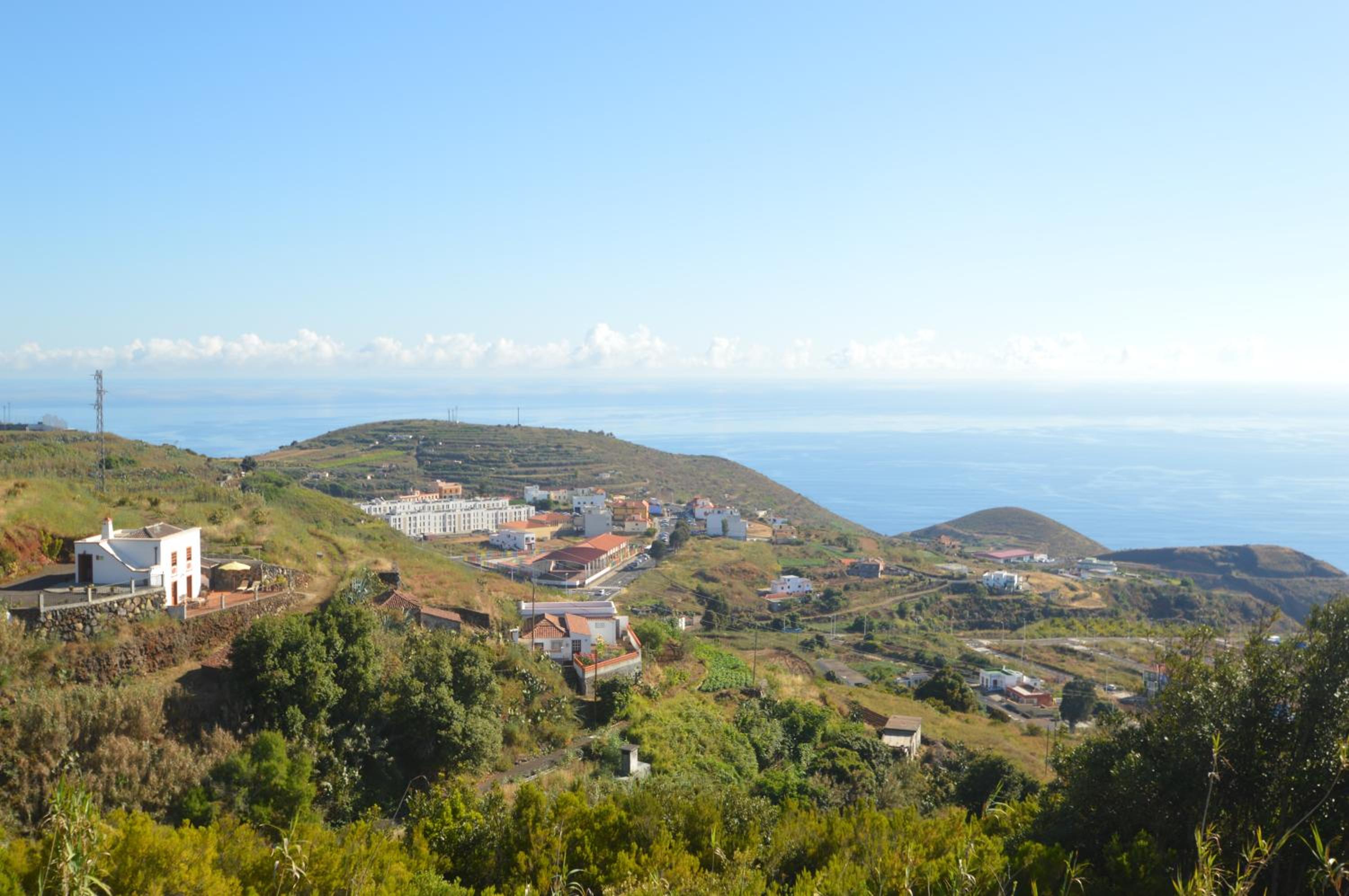 Neólida
