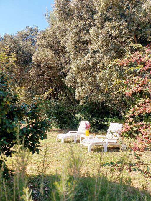 Bastide Cedrea