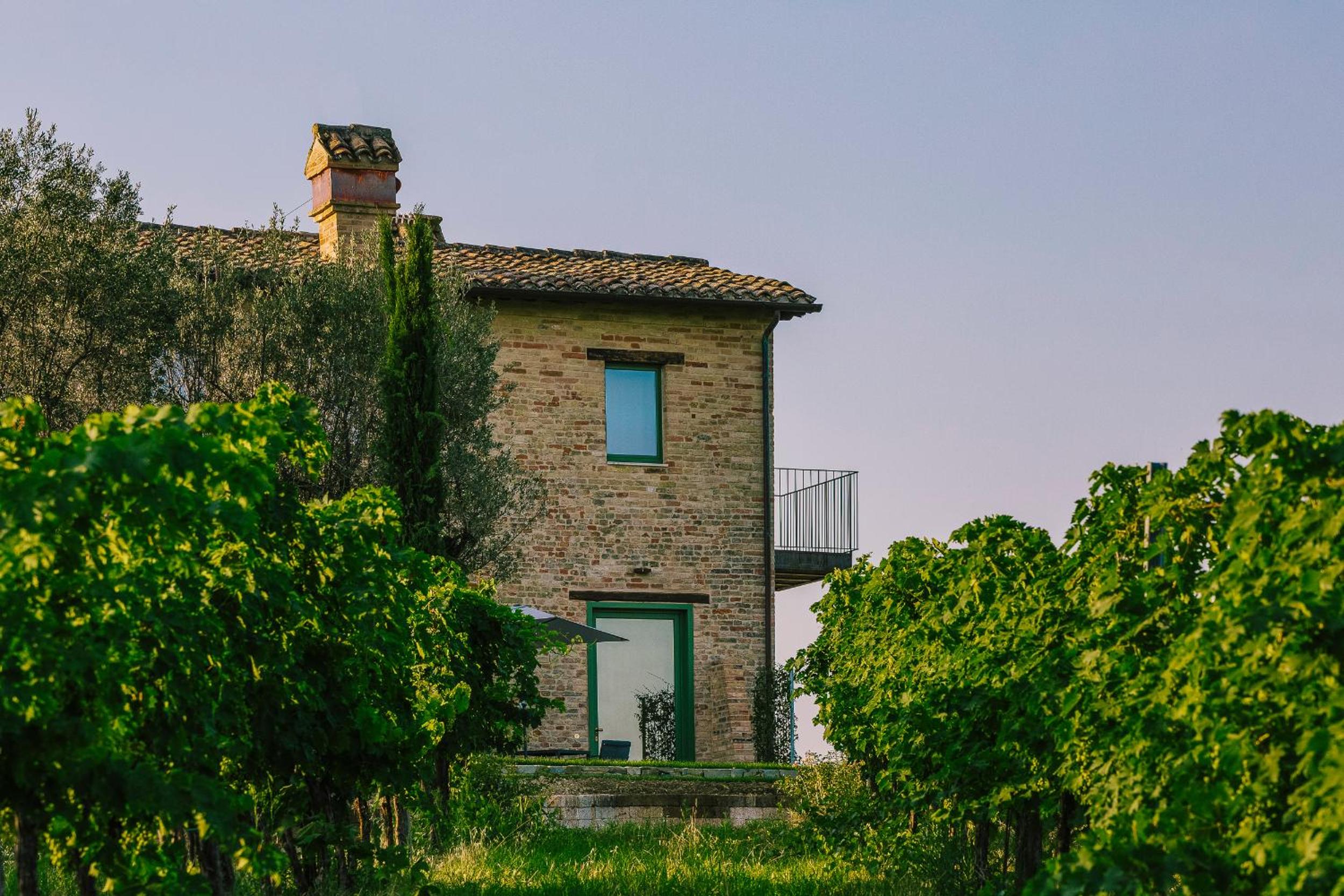 Relais Cocci Grifoni - Panoramic Wine Resort