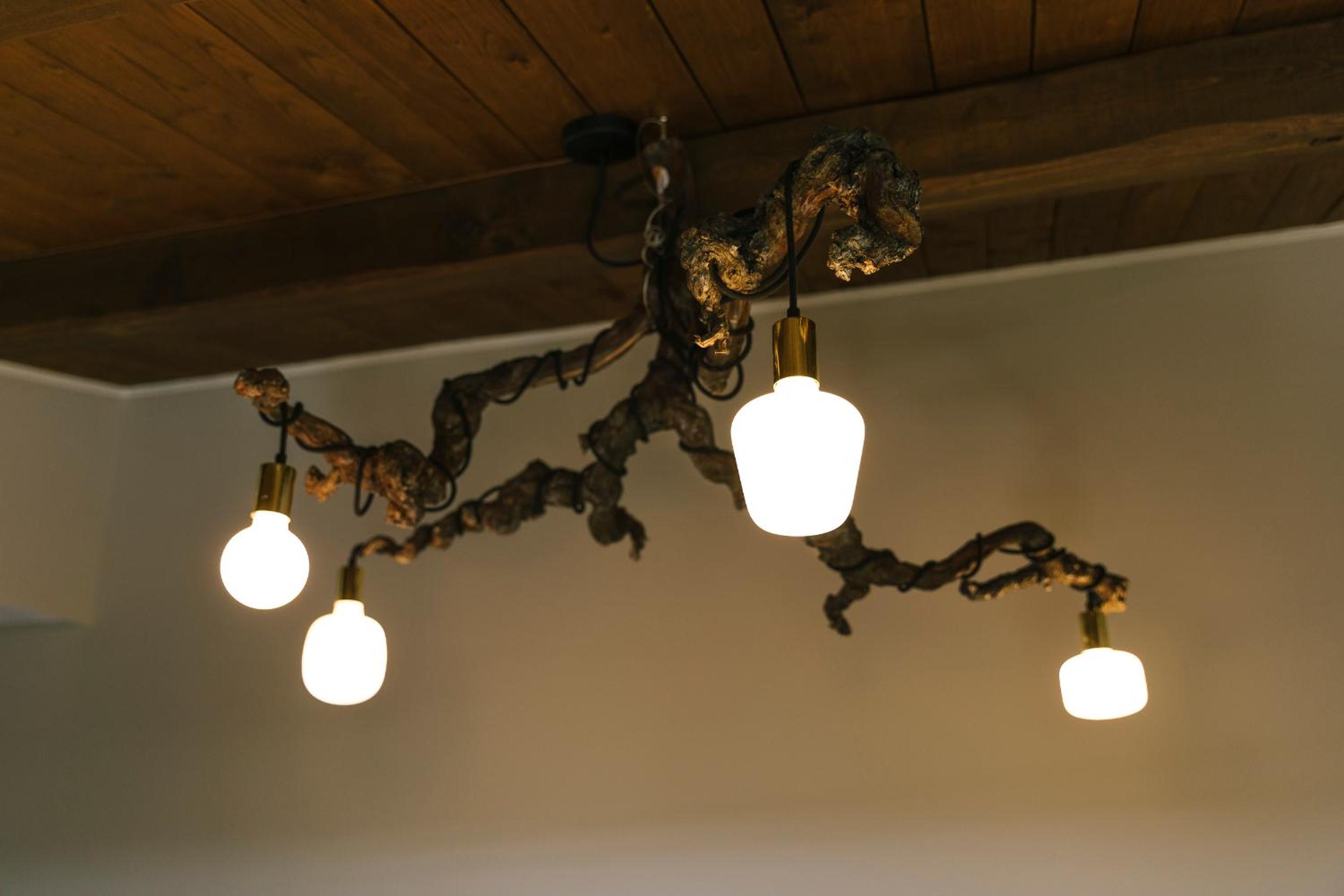 Relais Cocci Grifoni - Panoramic Wine Resort