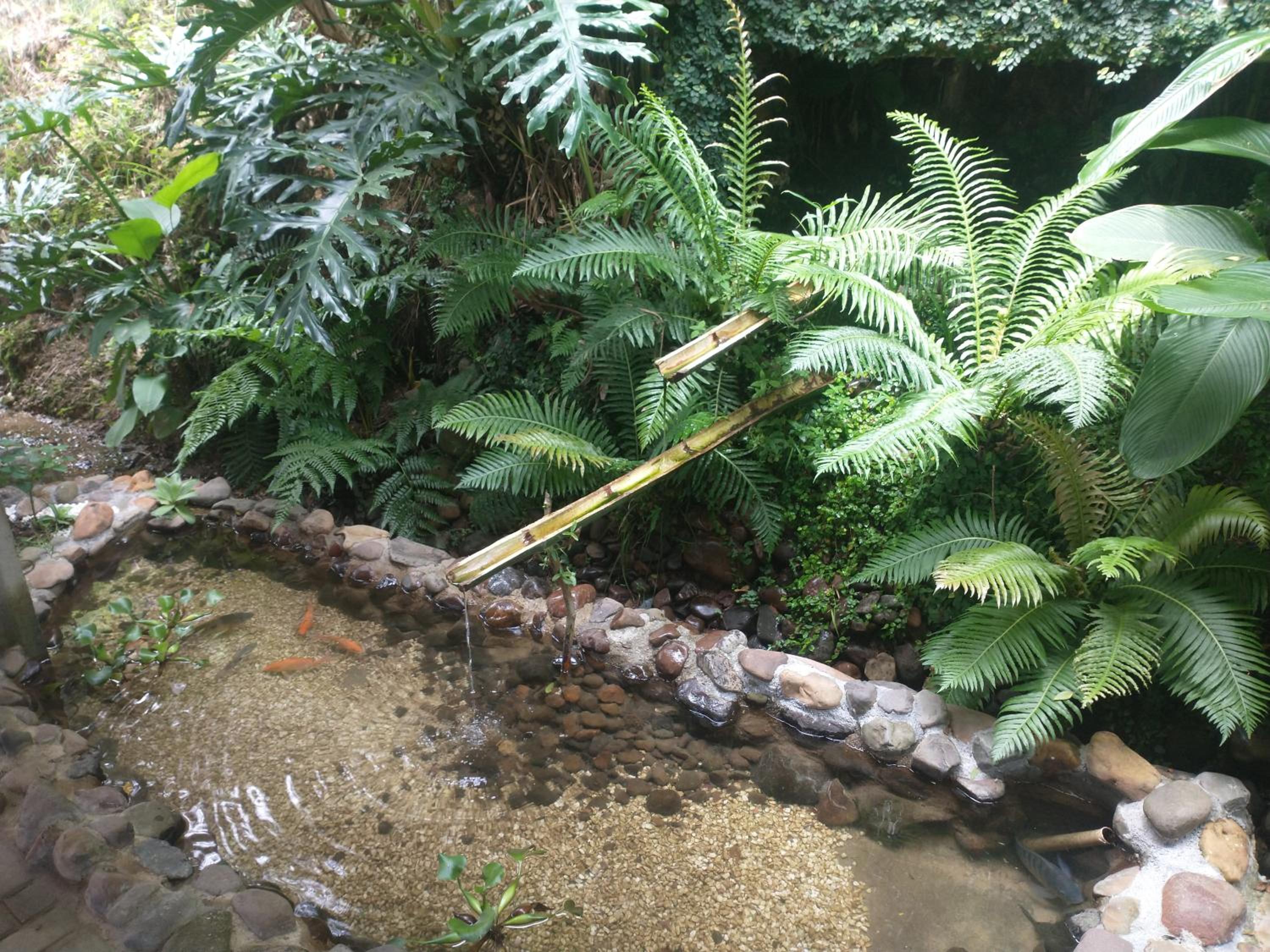 Sitio Esperanca
