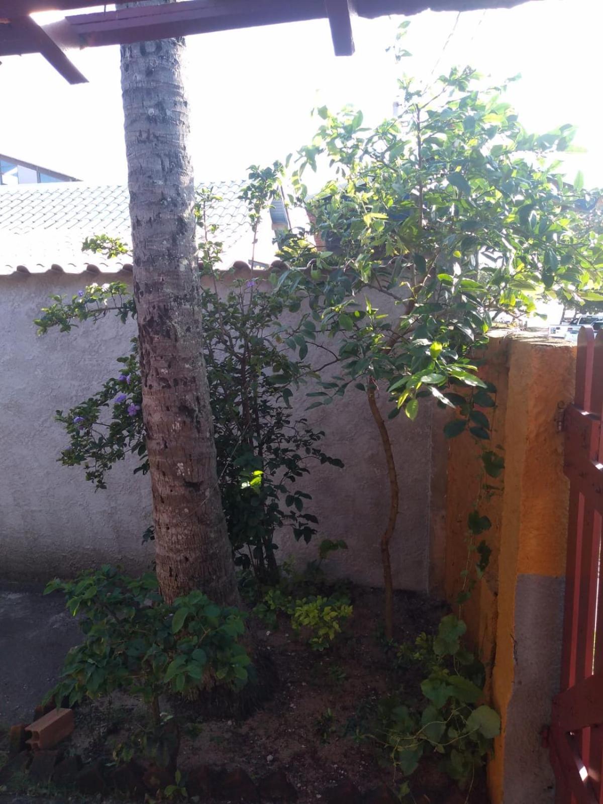 CASA RÚSTICA AMARELA 1 E 2 Meaípe